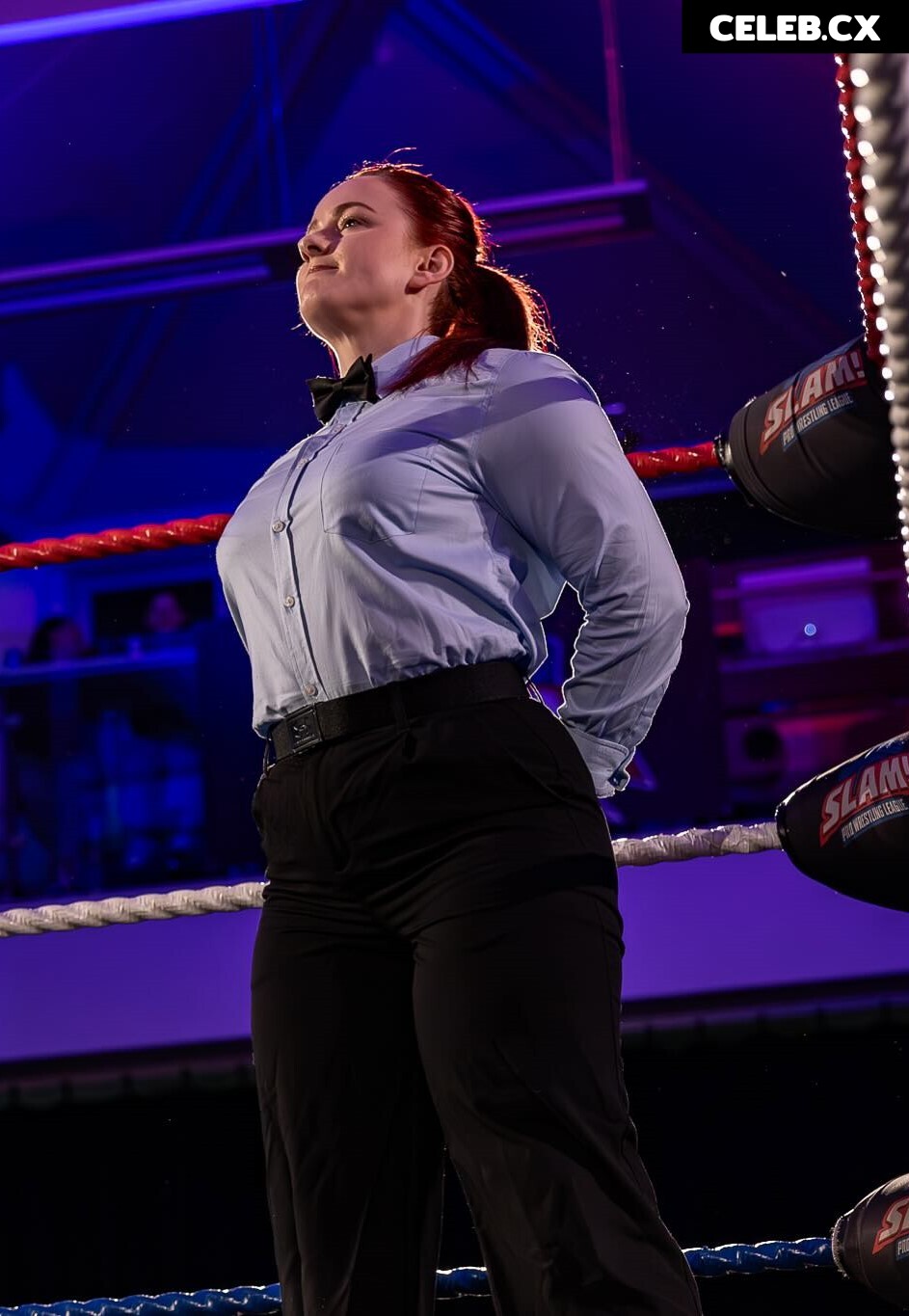 Women of Professional Wrestling Image 8786624