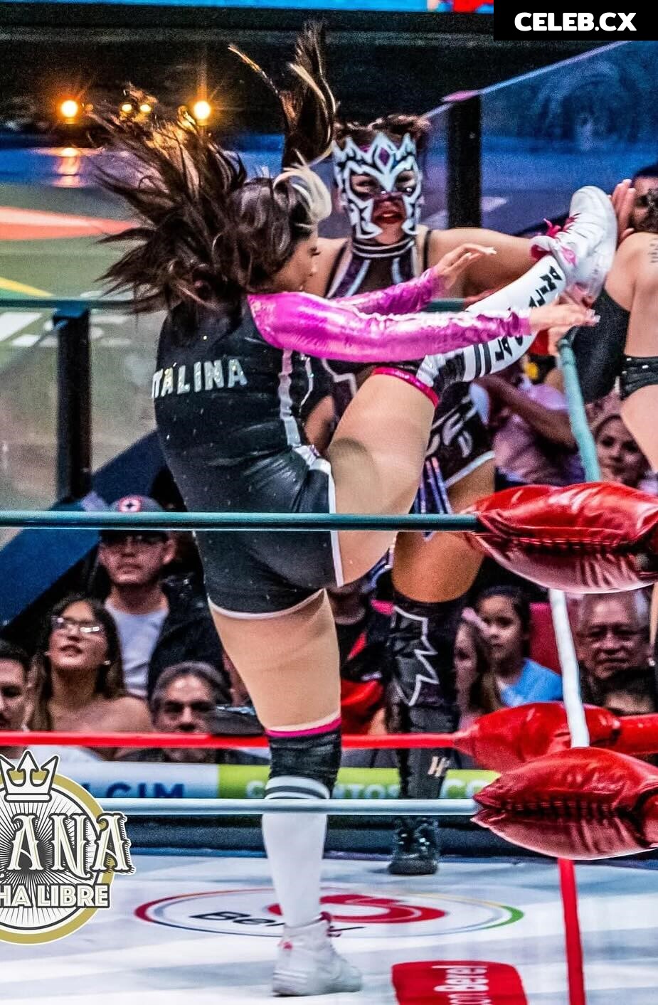 Women of Professional Wrestling Image 8786964