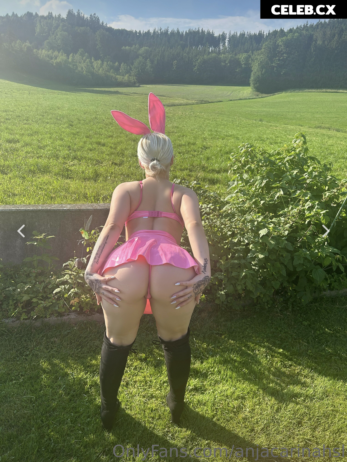Anja Carina Haslinger Image 2196542