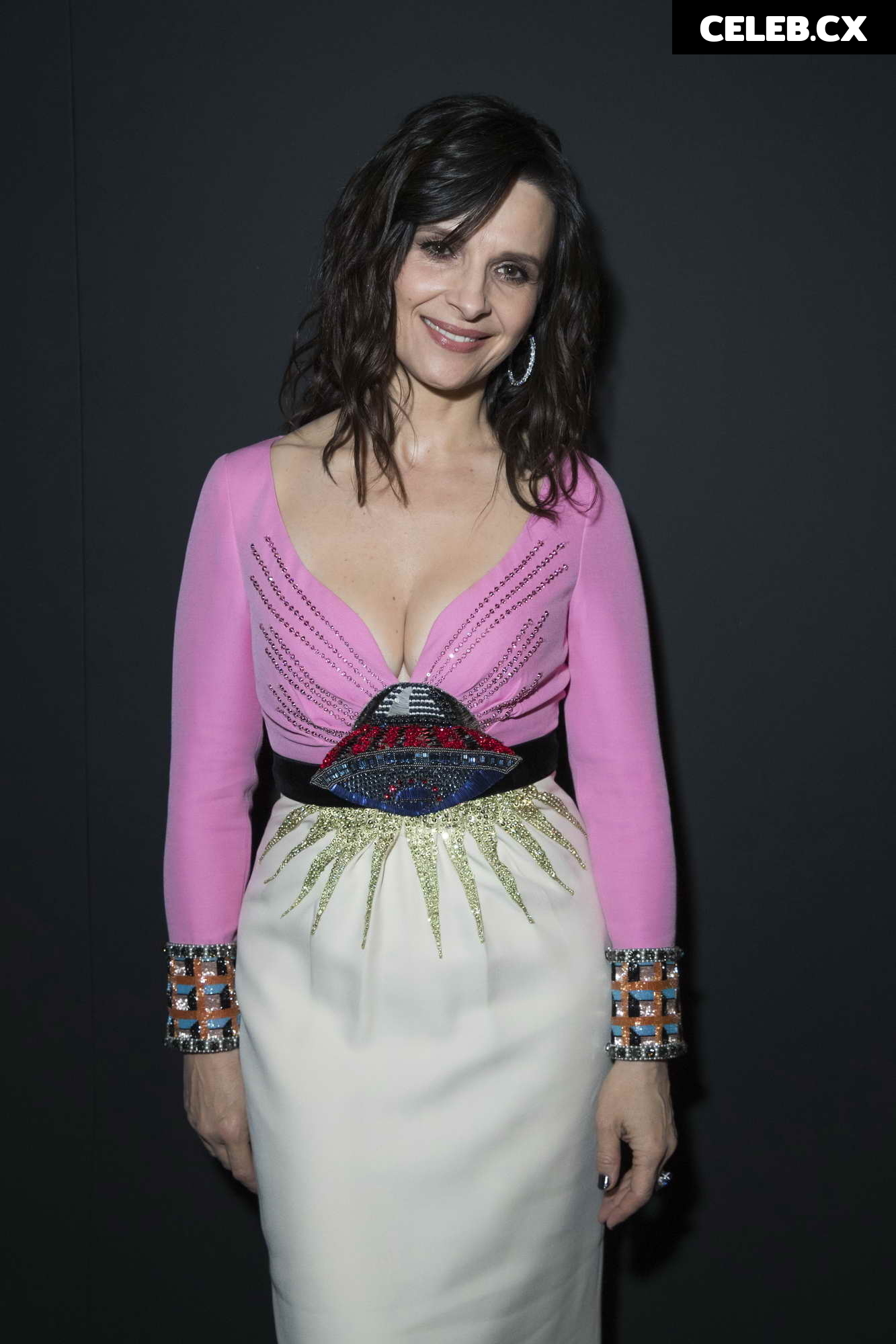 Juliette Binoche Image 2125750