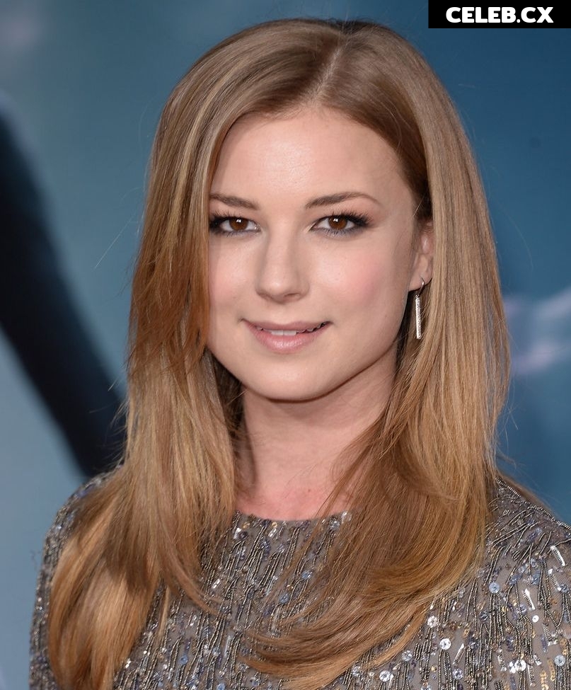 Emily Van Camp Image 2116892