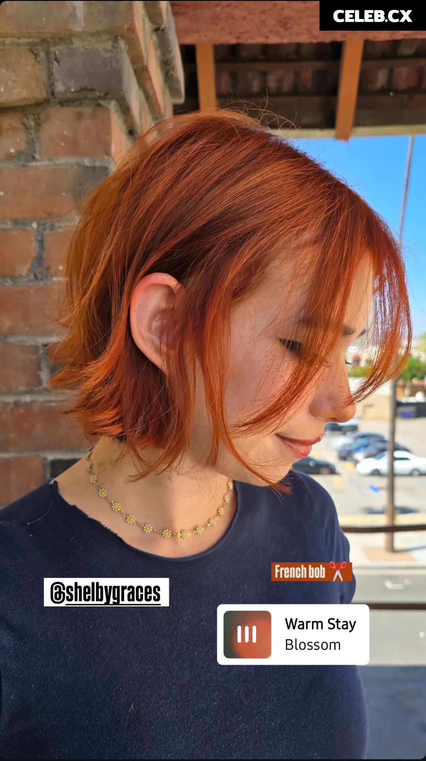 Shubble Image 11585403