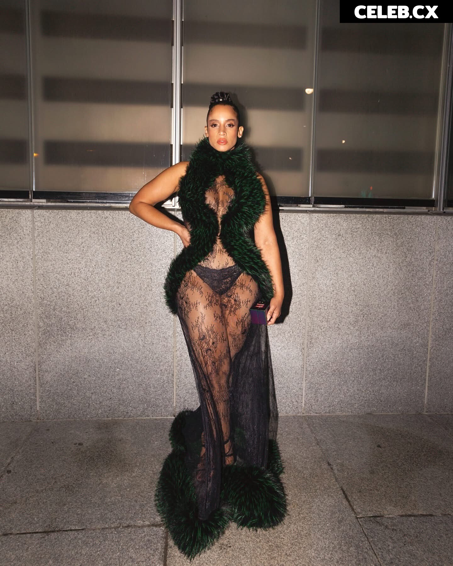 Dascha Polanco Image 11225997