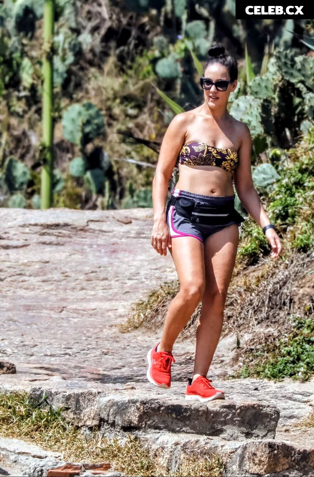 Adriana Birolli Image 11238646
