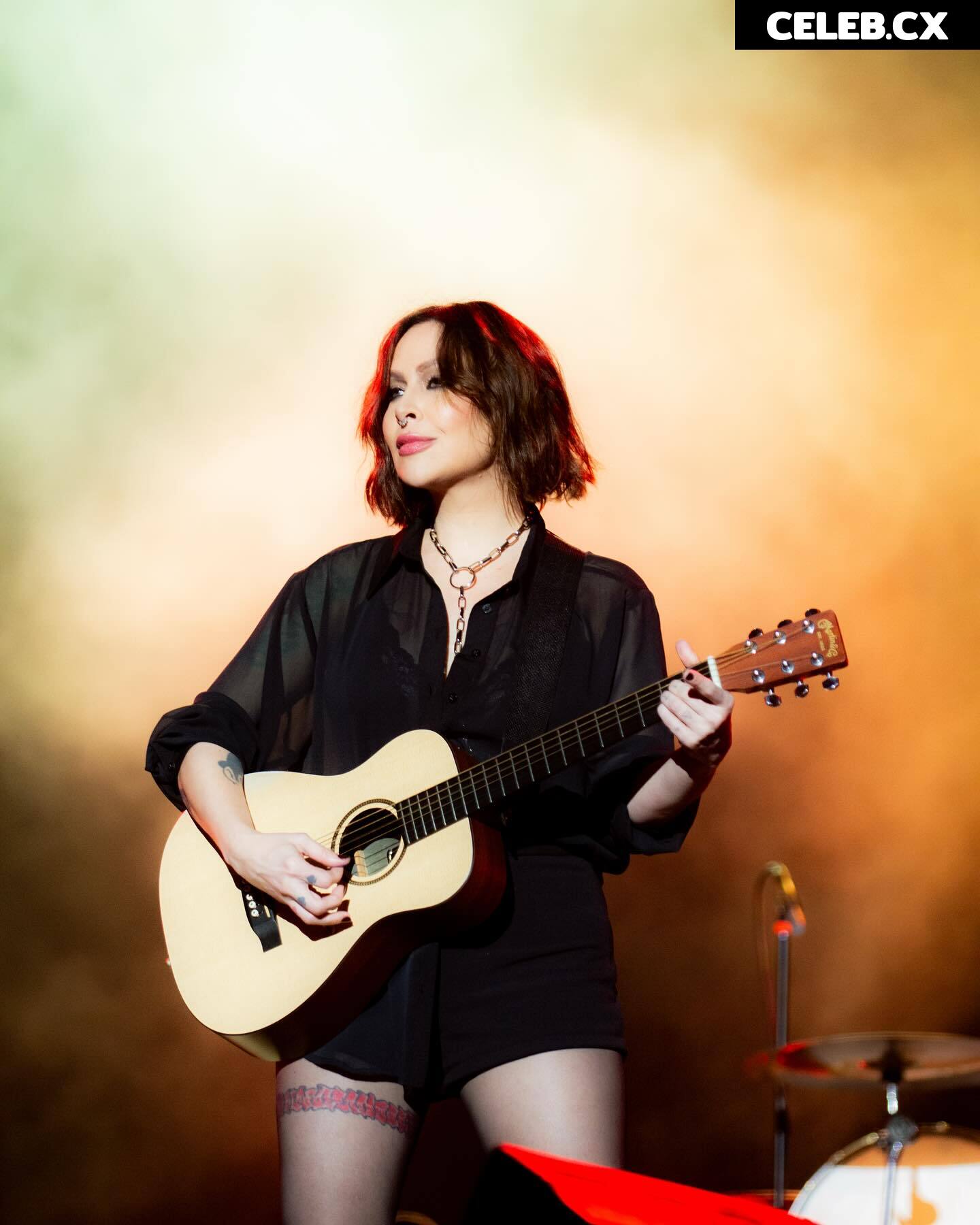 Pitty Image 11239065