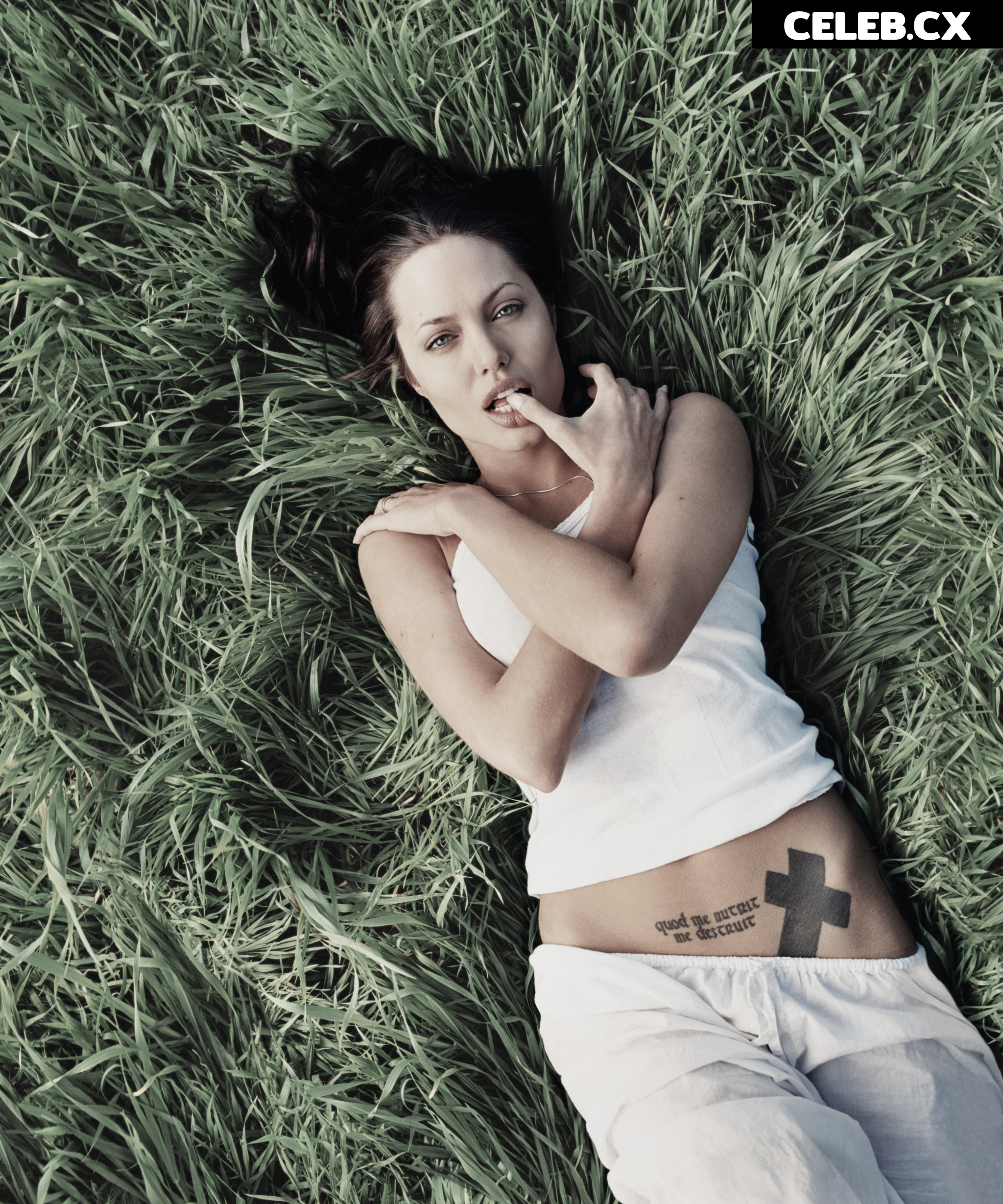 Angelina Jolie Image 1767435