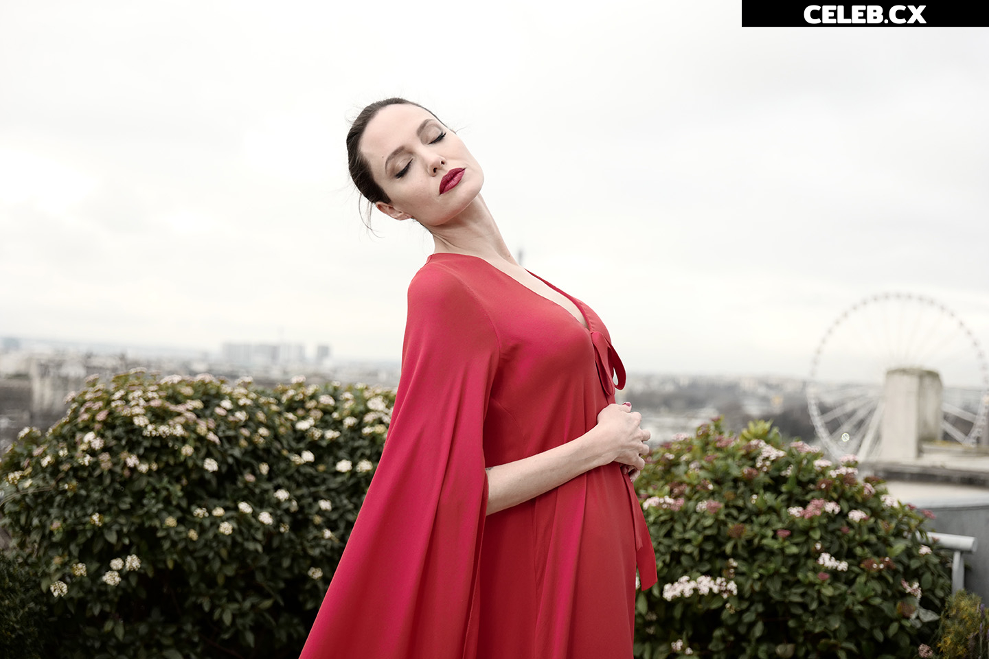 Angelina Jolie Image 1764356