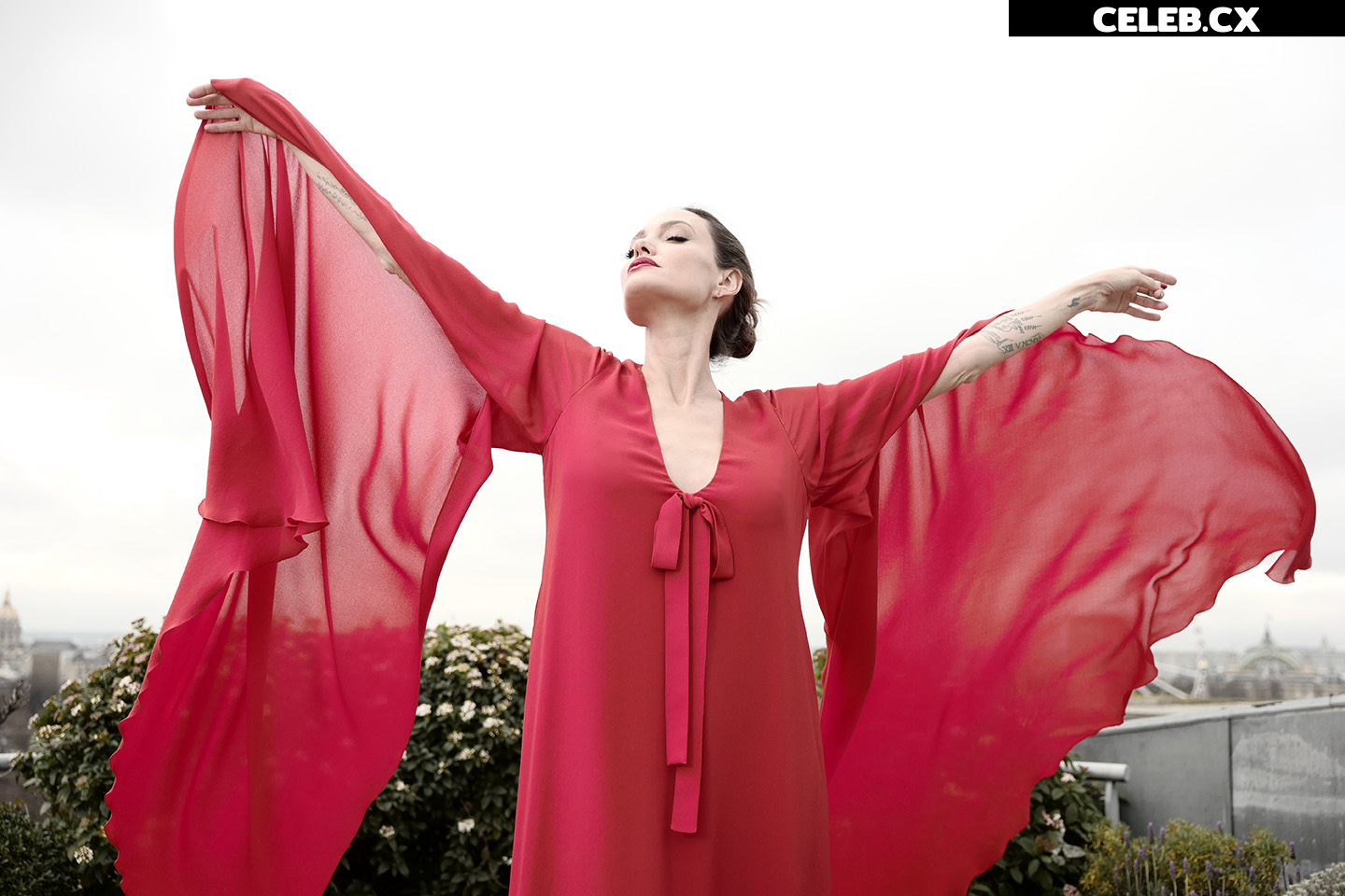 Angelina Jolie Image 1764281