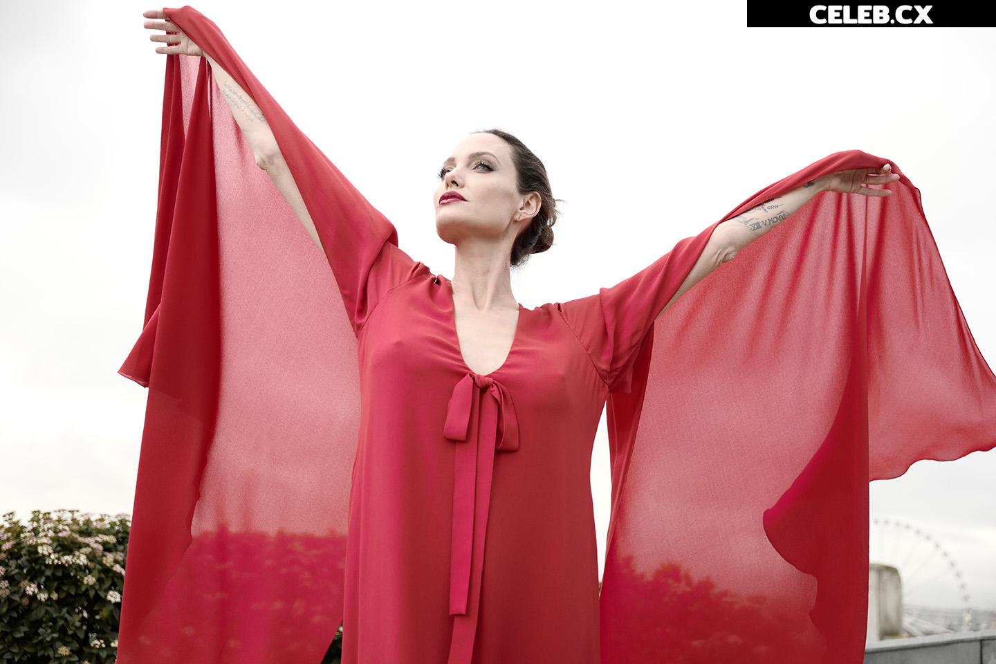 Angelina Jolie Image 1764242