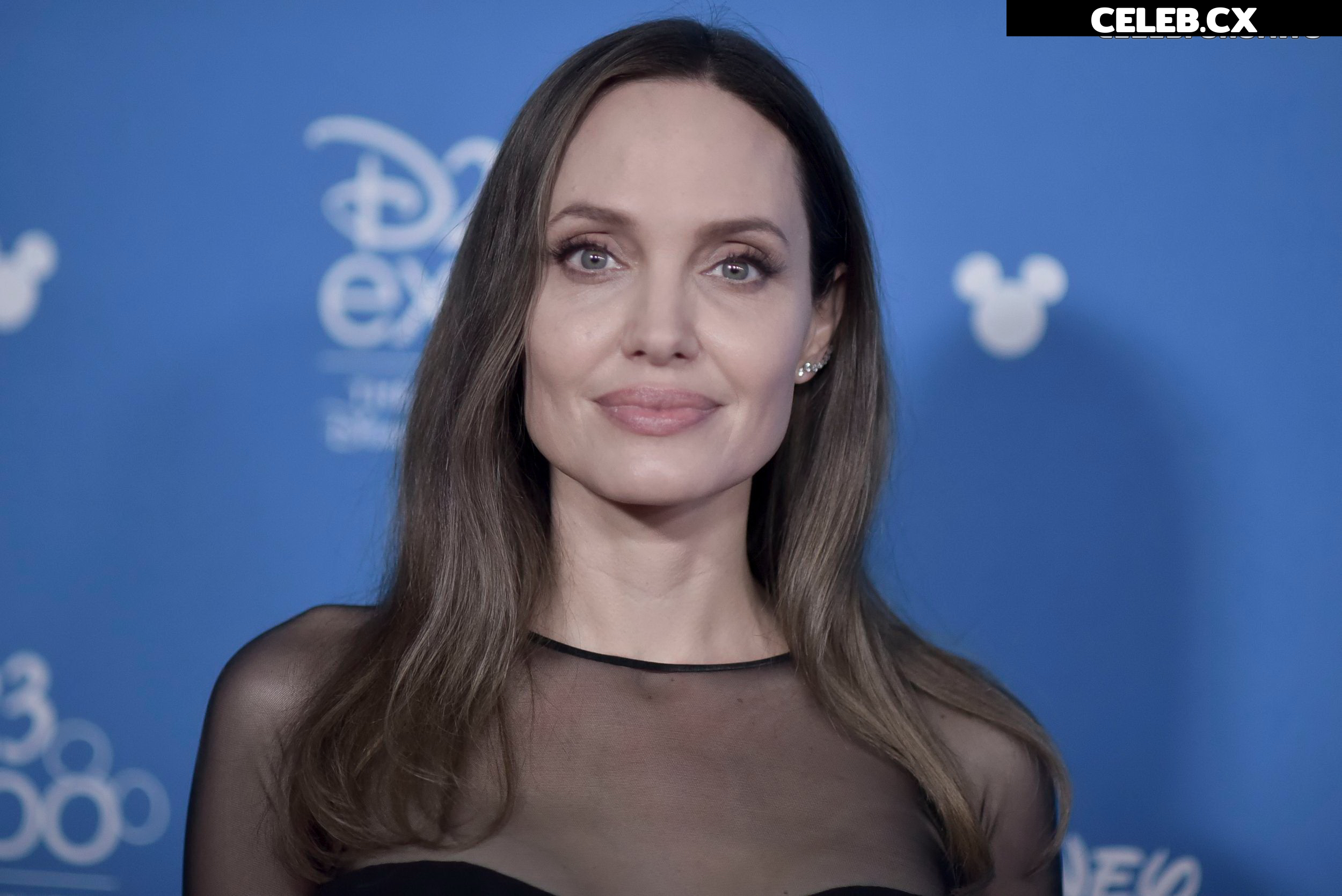 Angelina Jolie Image 1761114