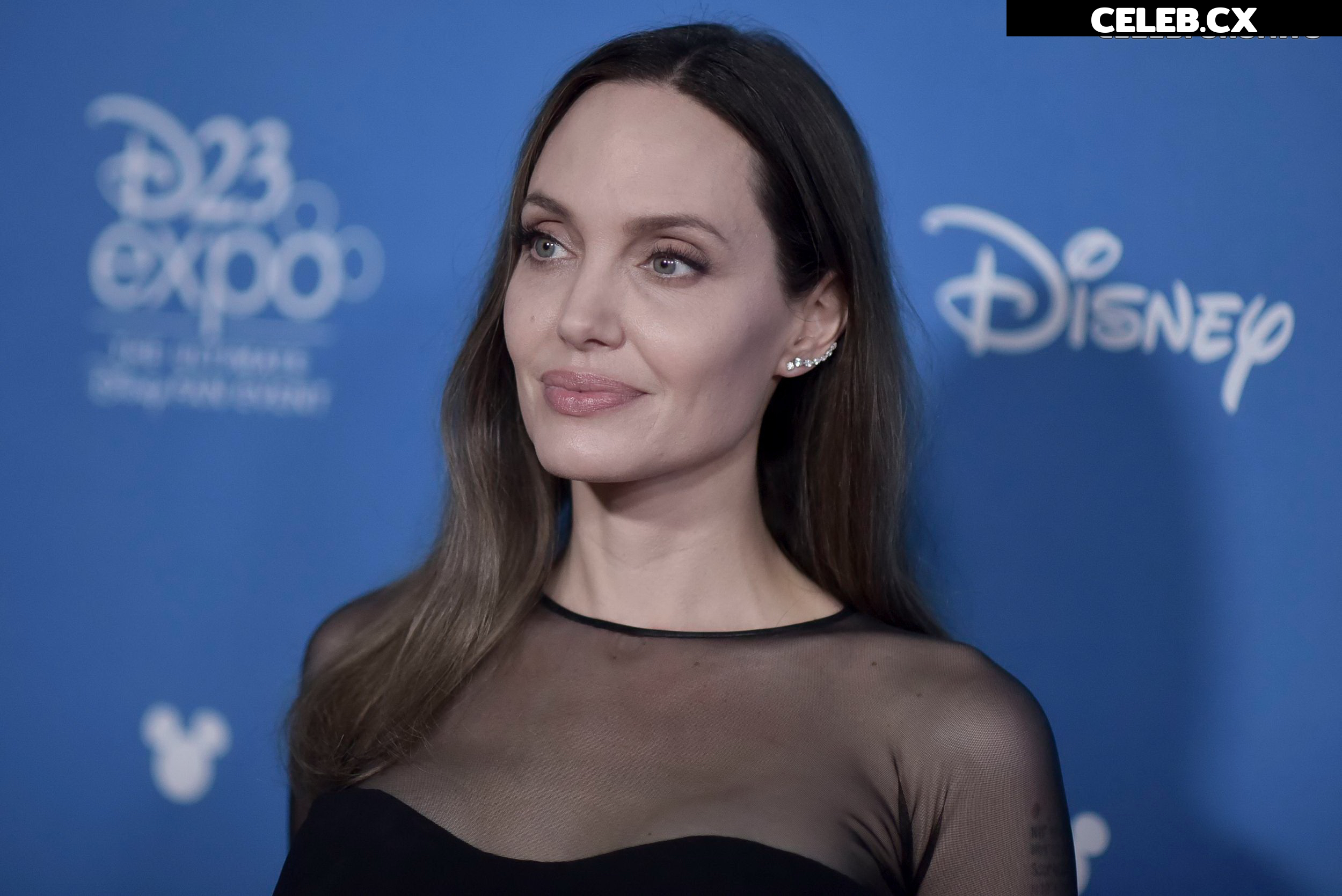 Angelina Jolie Image 1761023