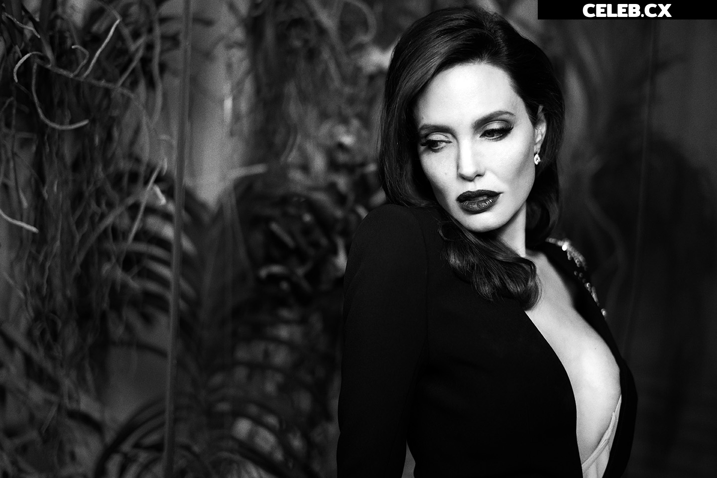 Angelina Jolie Image 1763551