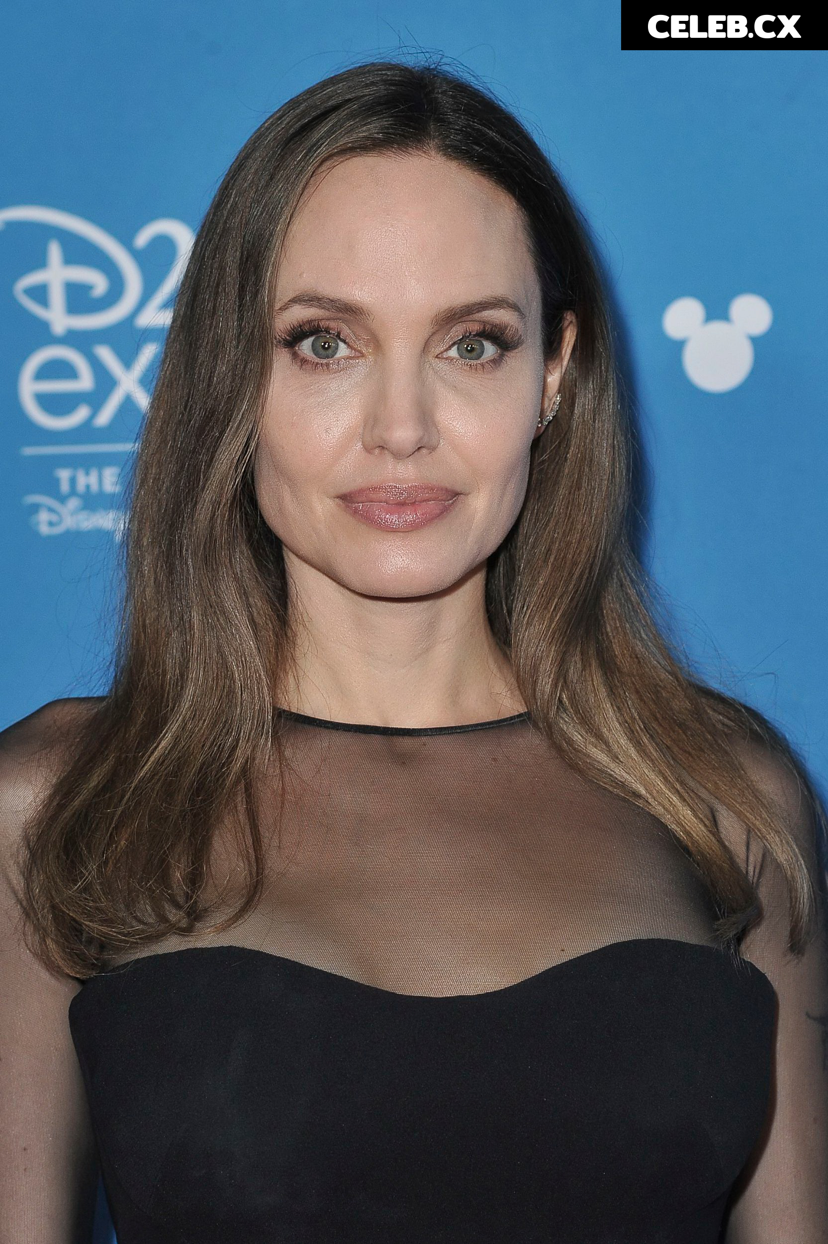 Angelina Jolie Image 1760671