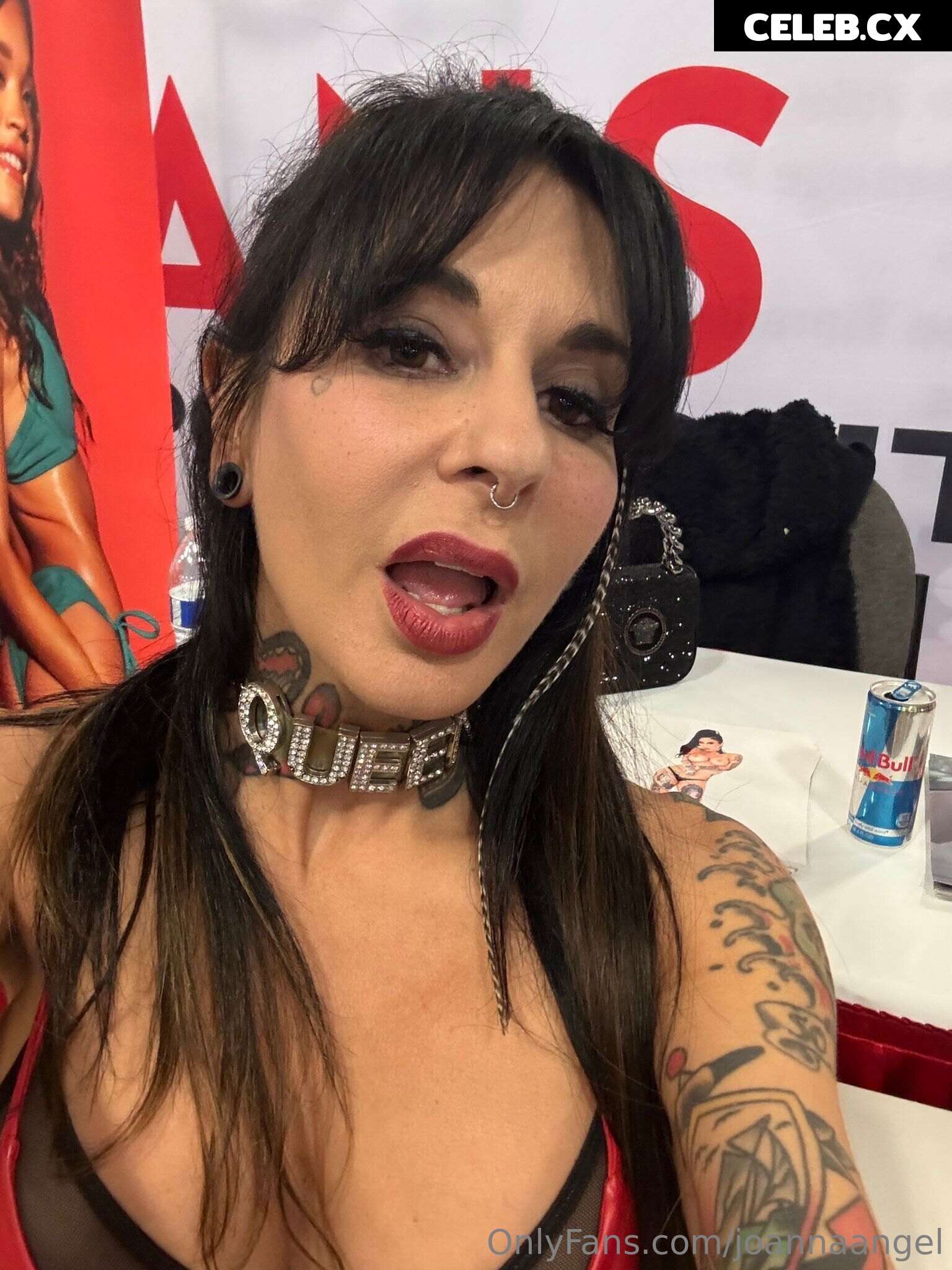 Joanna Angel Image 10951921