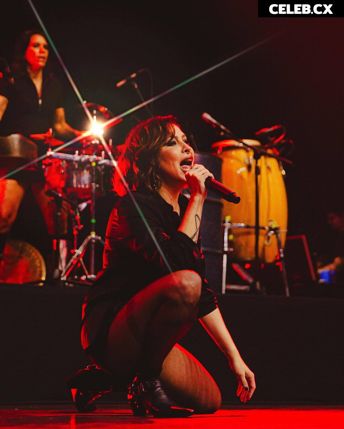 Pitty Image 10800909