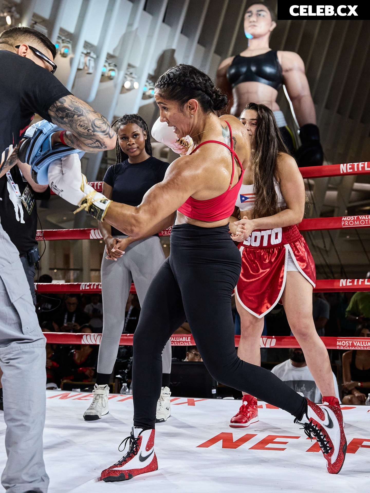 Amanda Serrano / Puerto Rican Boxer Image 10165550
