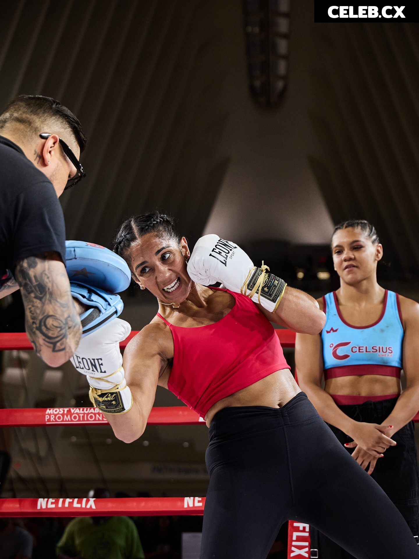Amanda Serrano / Puerto Rican Boxer Image 10165548