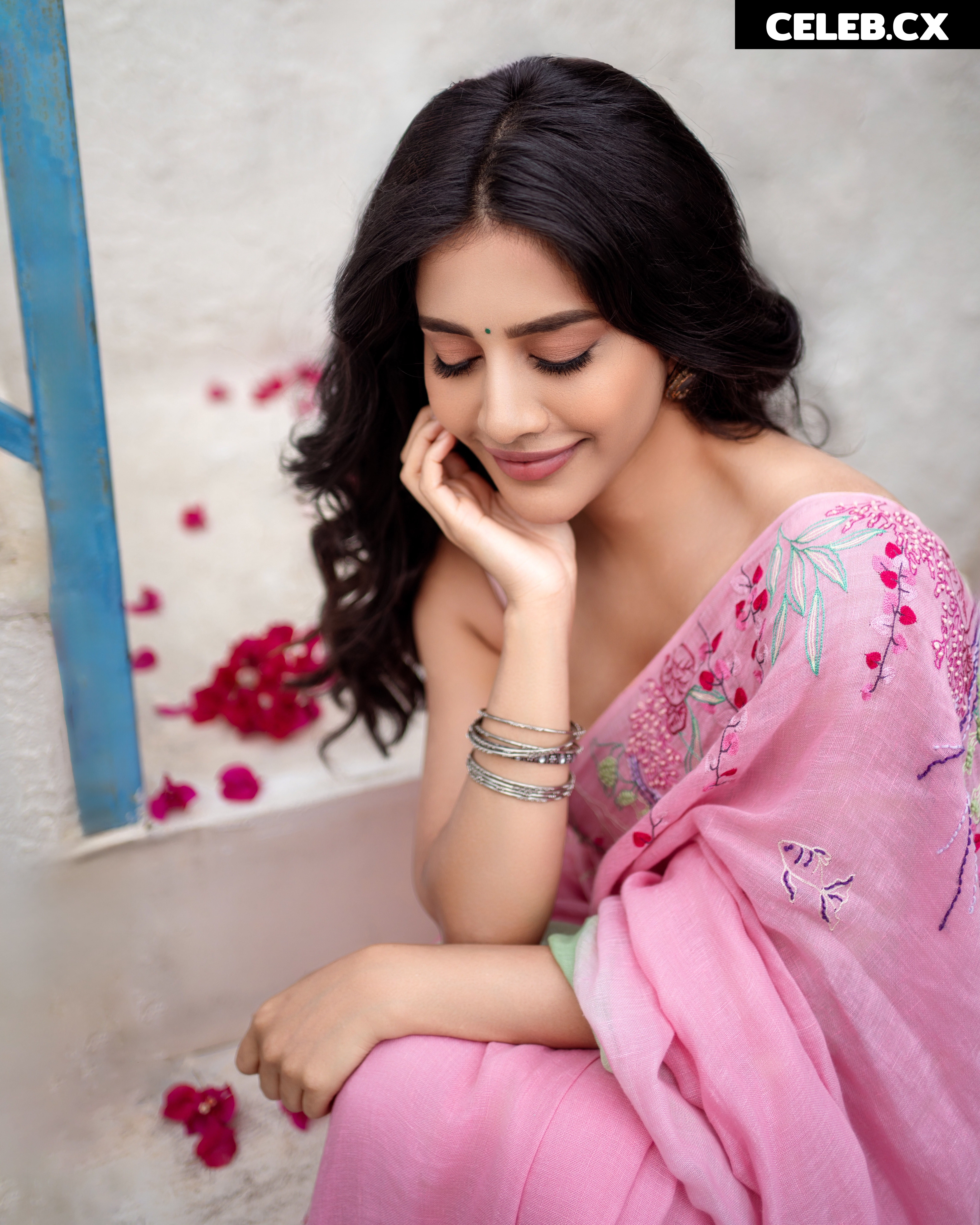 Nabha Natesh Image 10165796