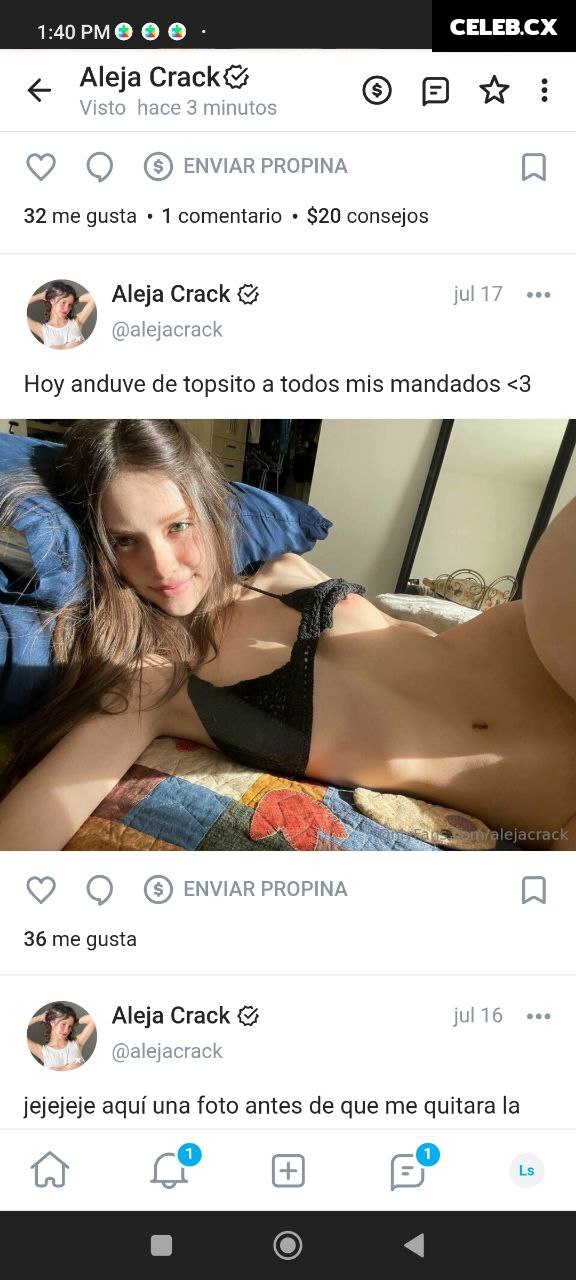 Aleja Crack Image 10112859
