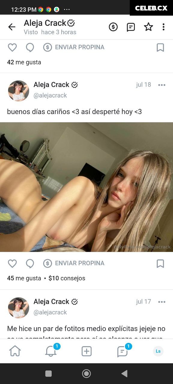 Aleja Crack Image 10112849