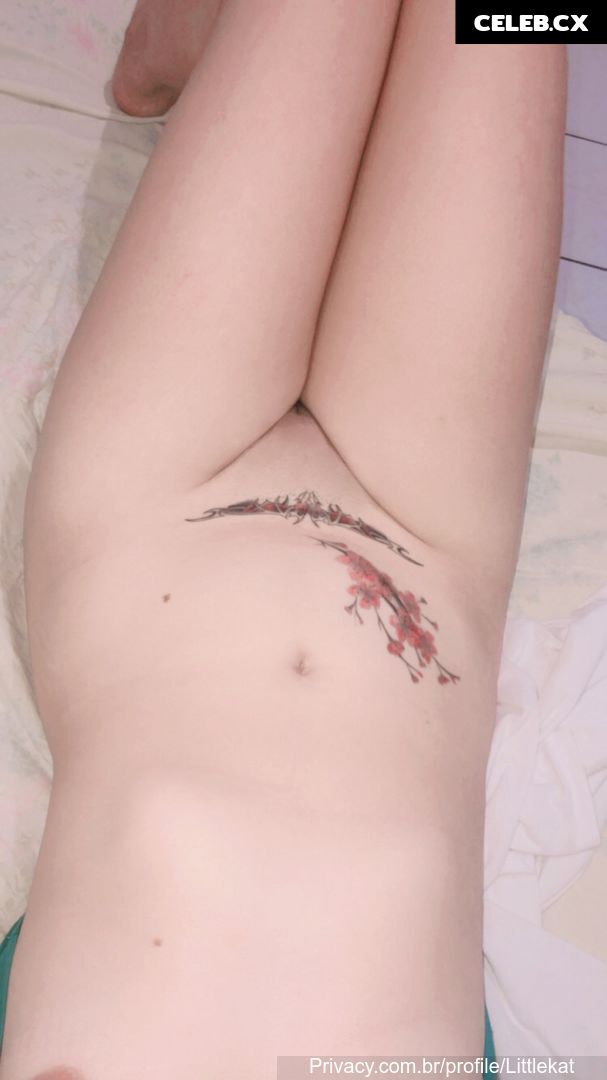 Littlekat Image 10127025