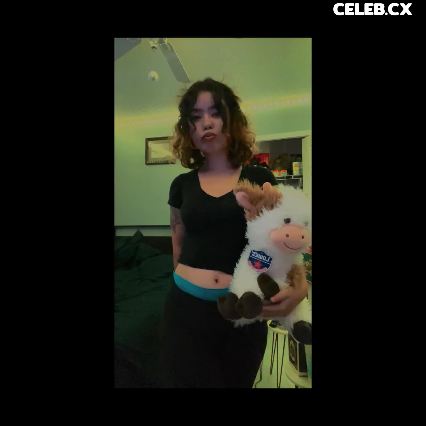 Papayamb Image 3576304