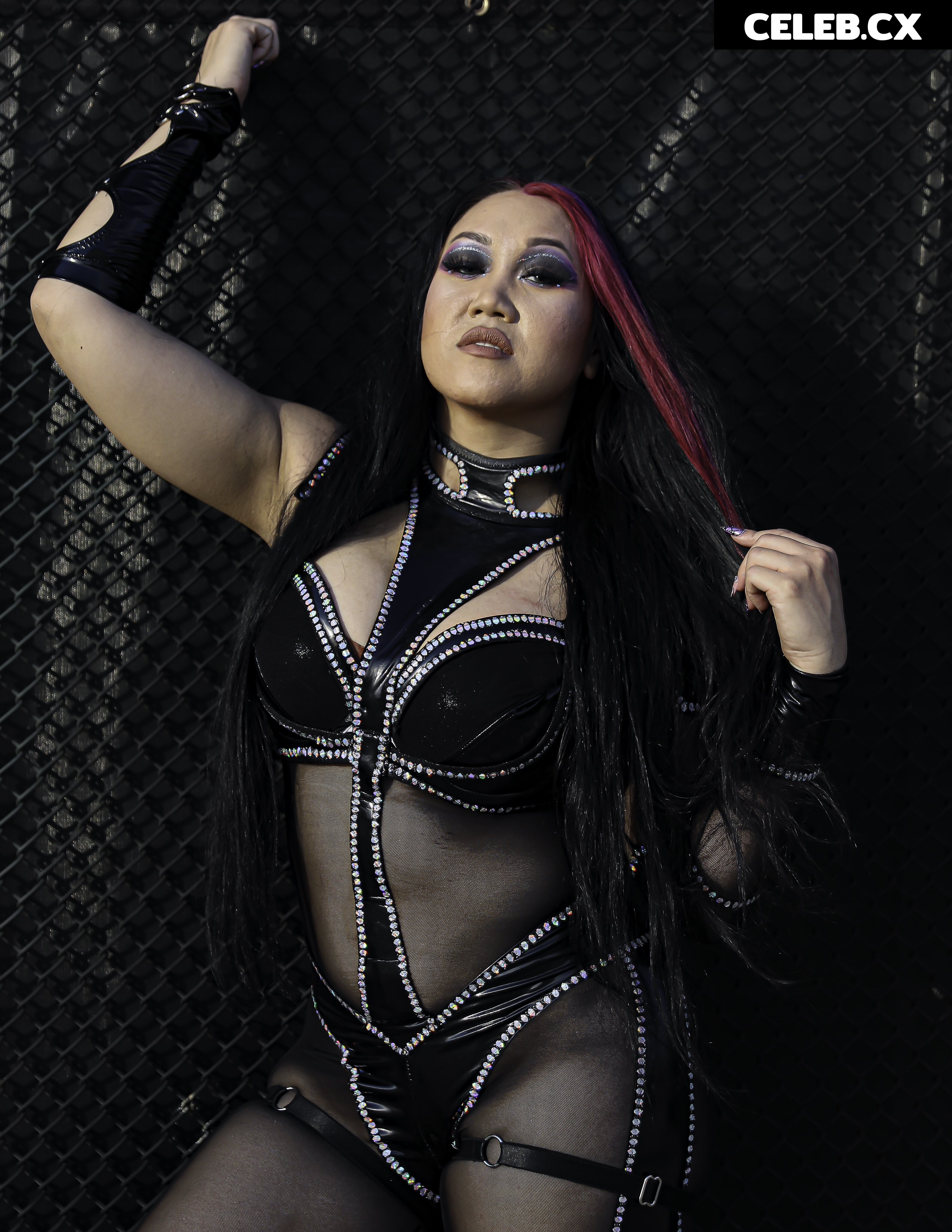 Women of Professional Wrestling Image 6294520