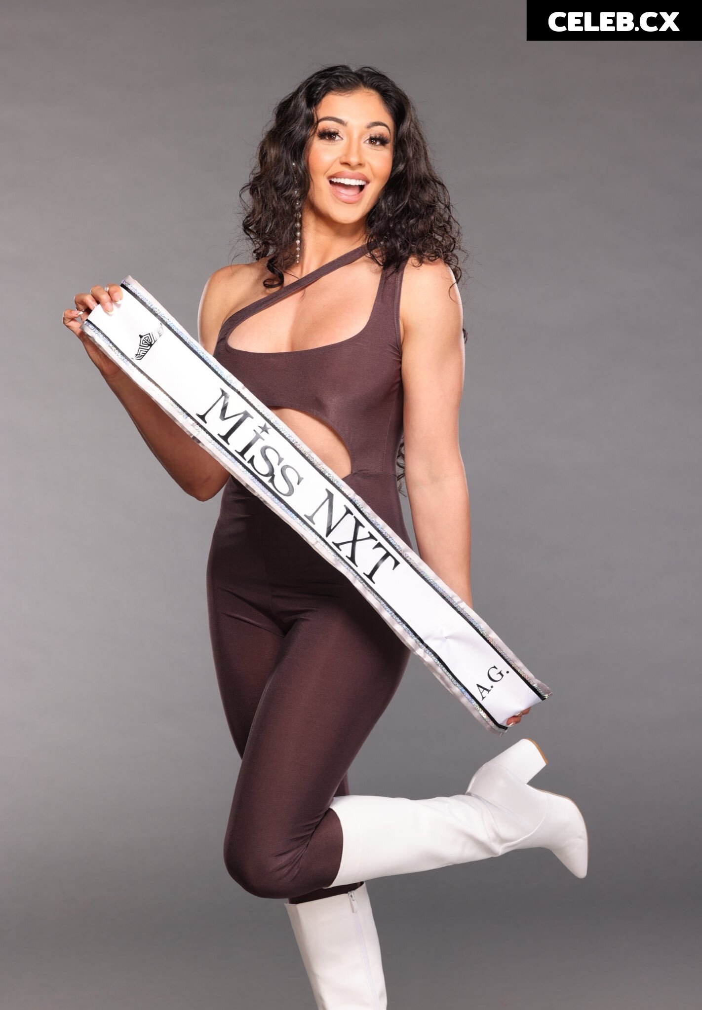Women of Professional Wrestling Image 6287248