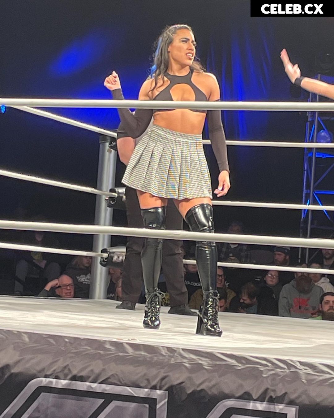 Women of Professional Wrestling Image 6284041