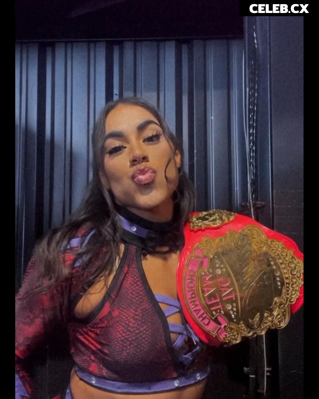 Women of Professional Wrestling Image 6284062