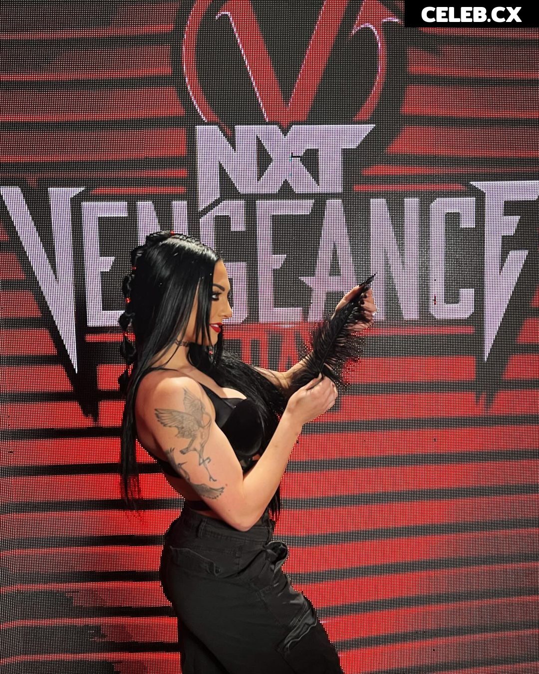 Women of Professional Wrestling Image 6281684