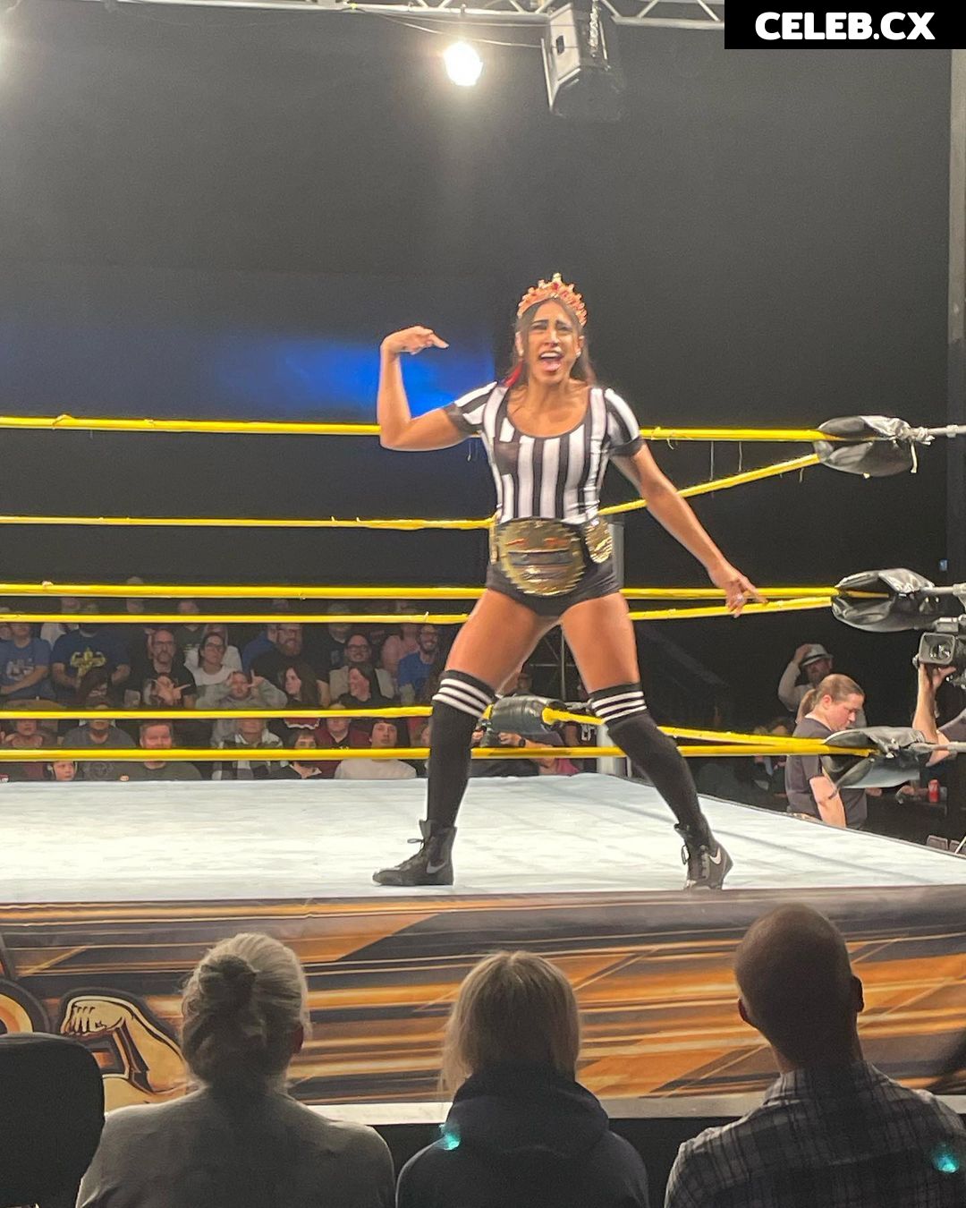 Women of Professional Wrestling Image 6283844