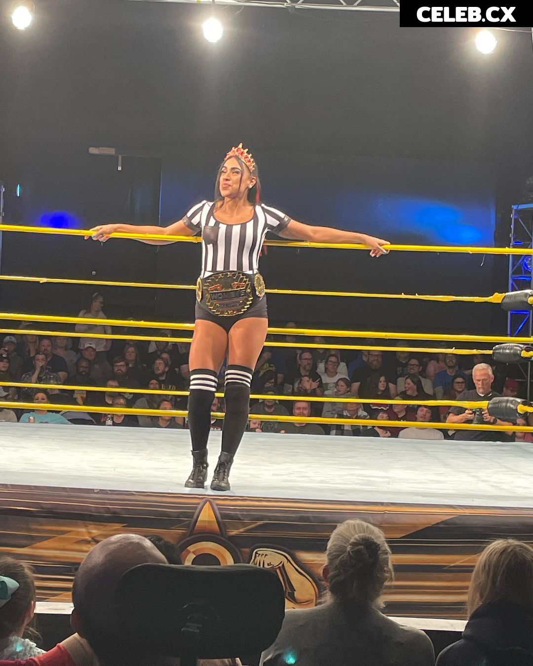 Women of Professional Wrestling Image 6283815