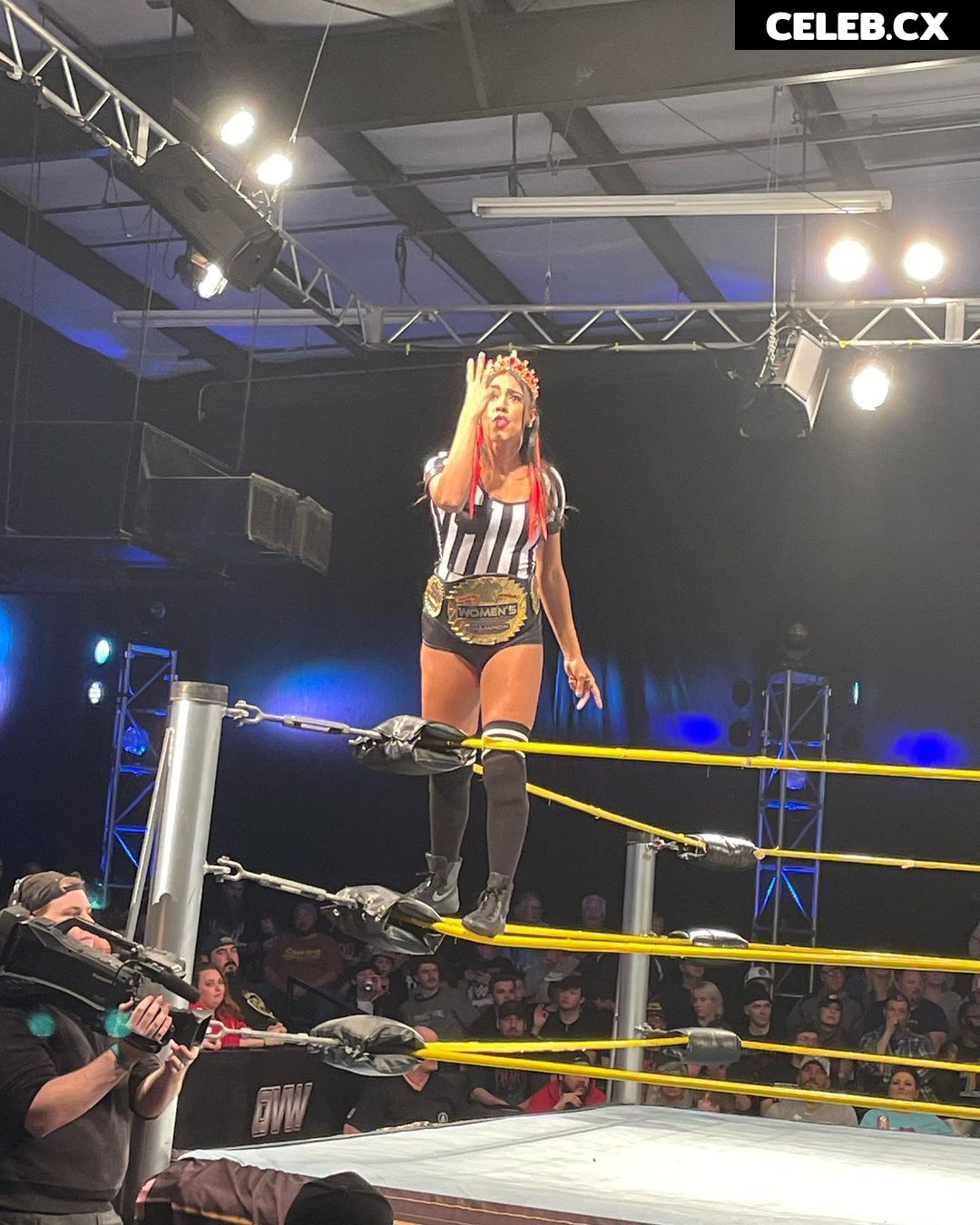 Women of Professional Wrestling Image 6283808
