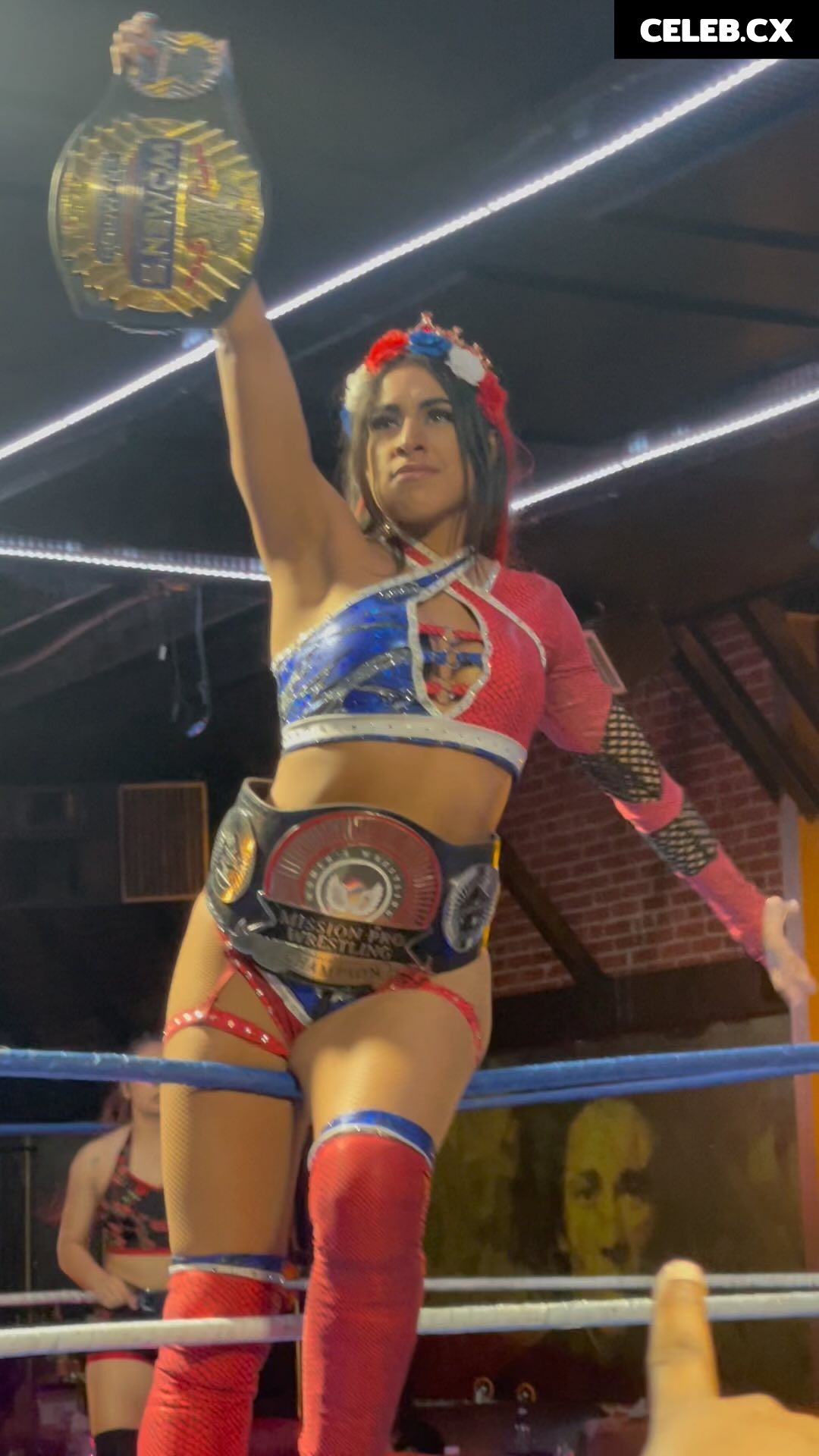 Women of Professional Wrestling Image 6283984
