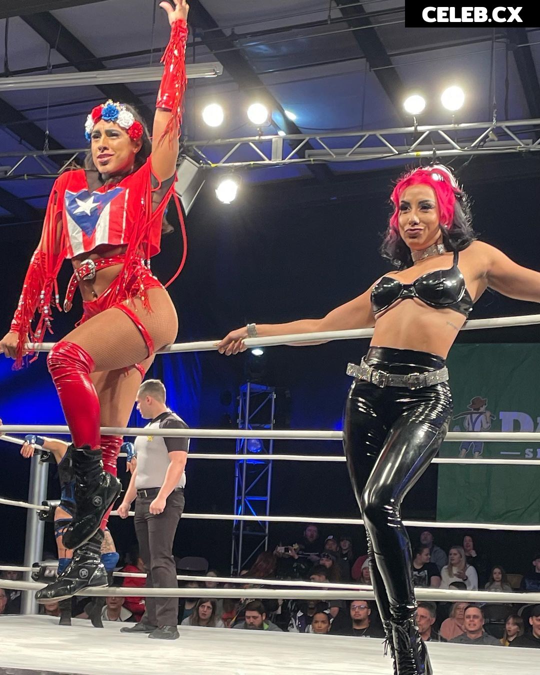 Women of Professional Wrestling Image 6283942