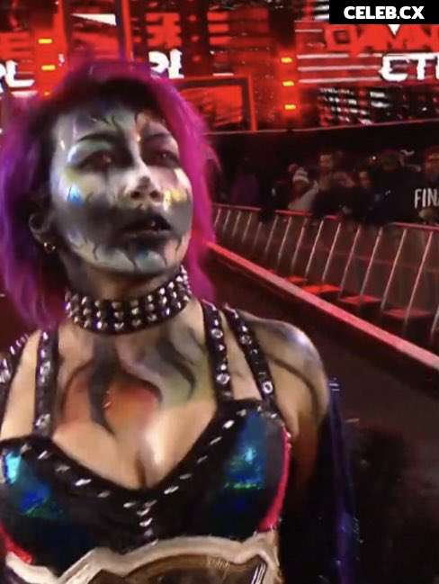 Women of Professional Wrestling Image 6289803