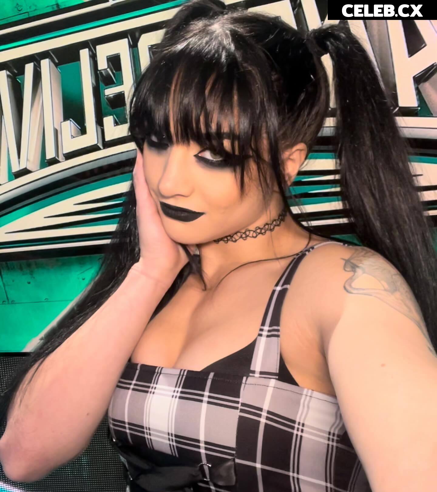 Women of Professional Wrestling Image 6289646