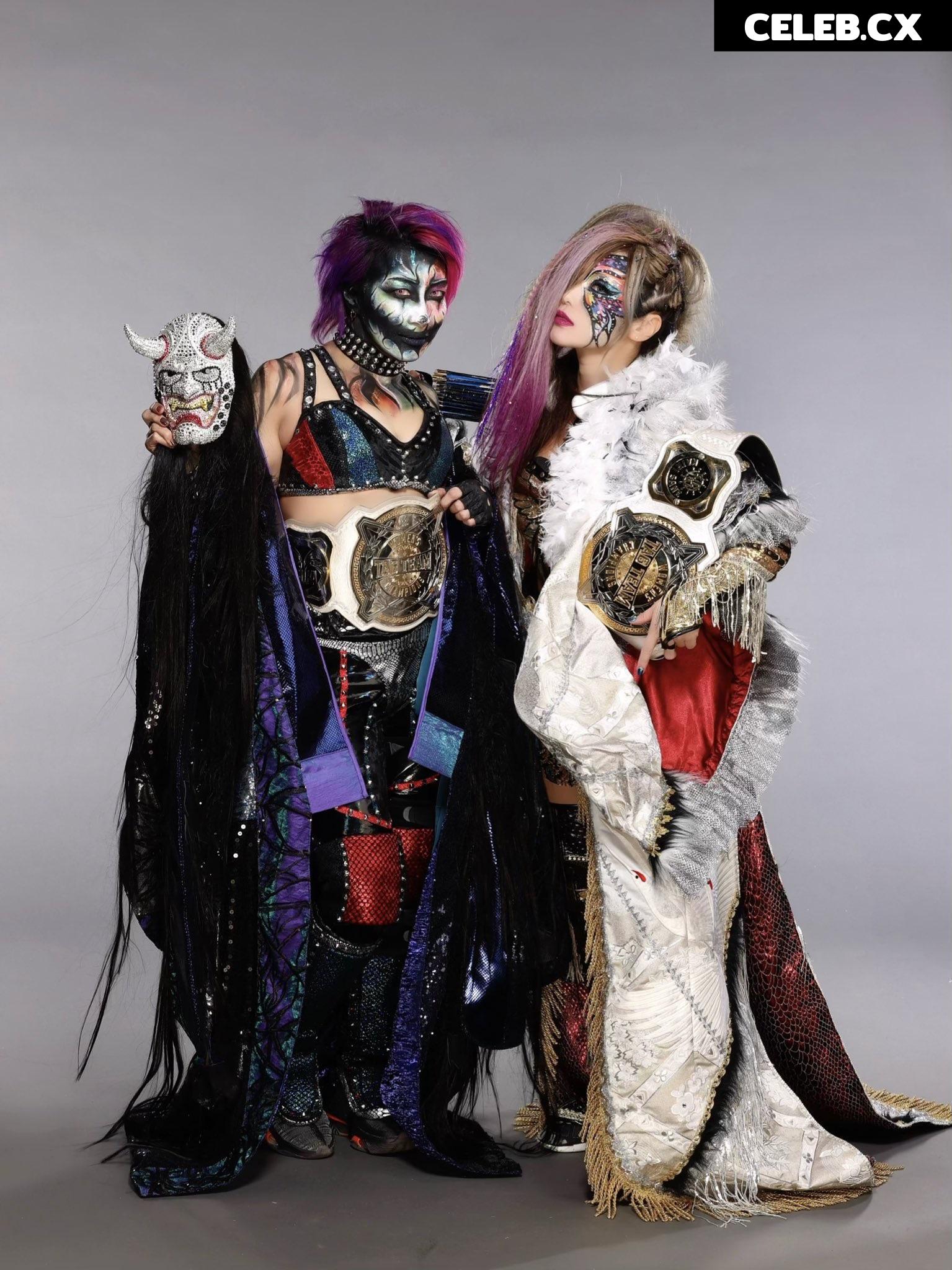 Women of Professional Wrestling Image 6289911