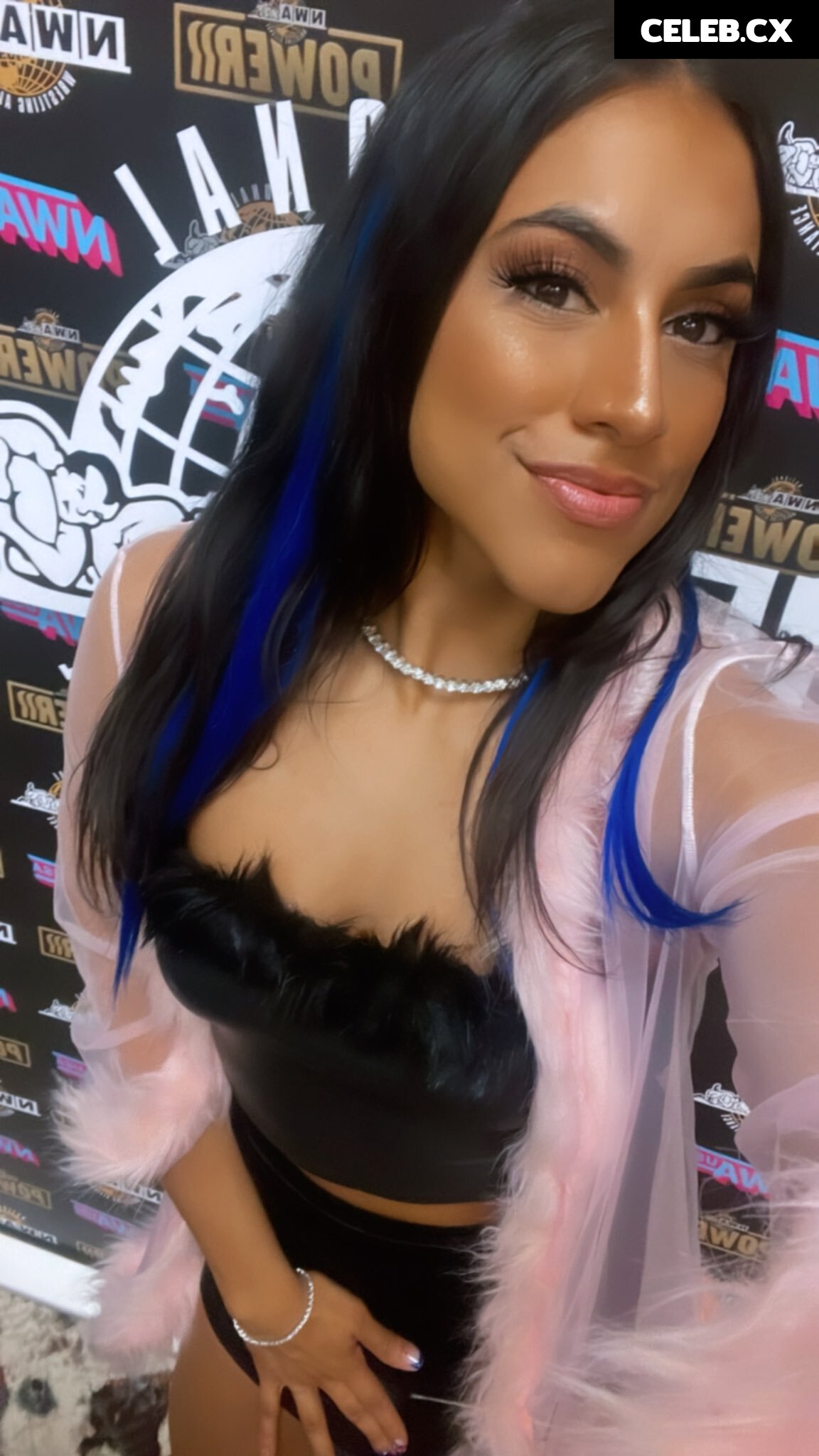 Women of Professional Wrestling Image 6288907