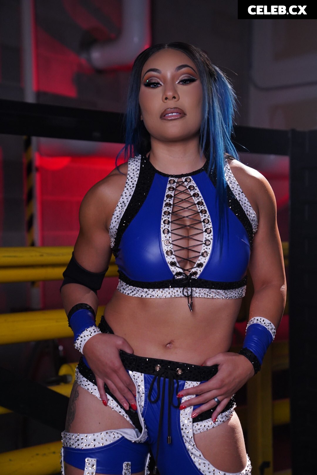 Women of Professional Wrestling Image 6275550