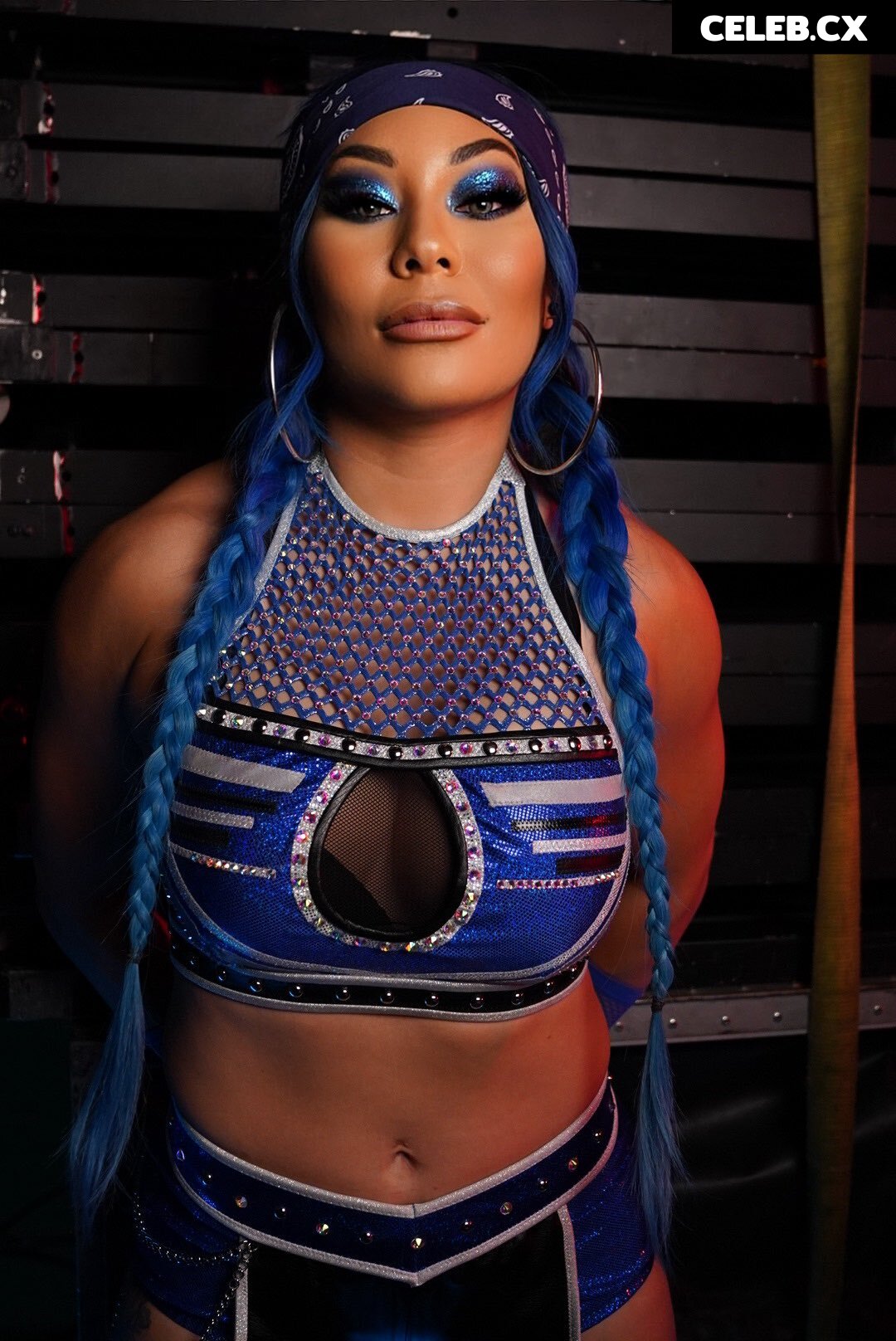 Women of Professional Wrestling Image 6272081