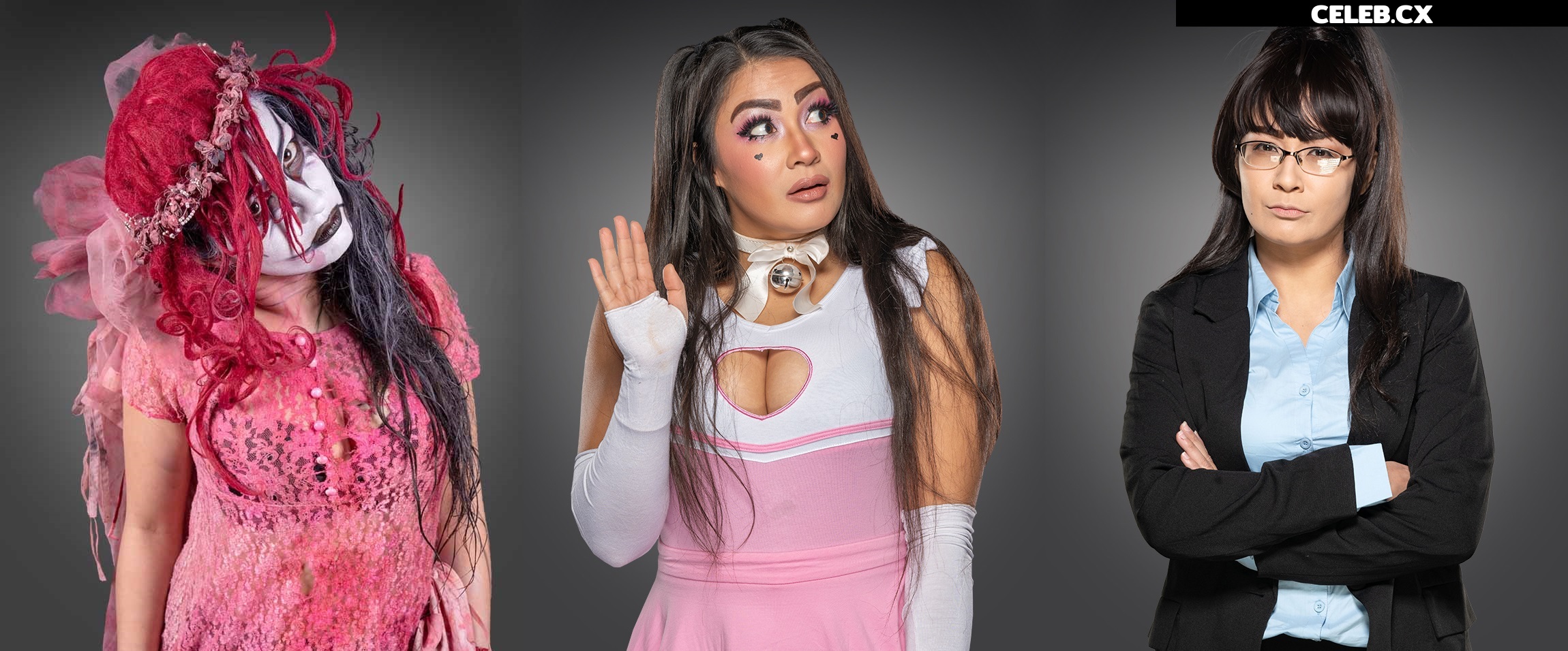 Women of Professional Wrestling Image 6273015