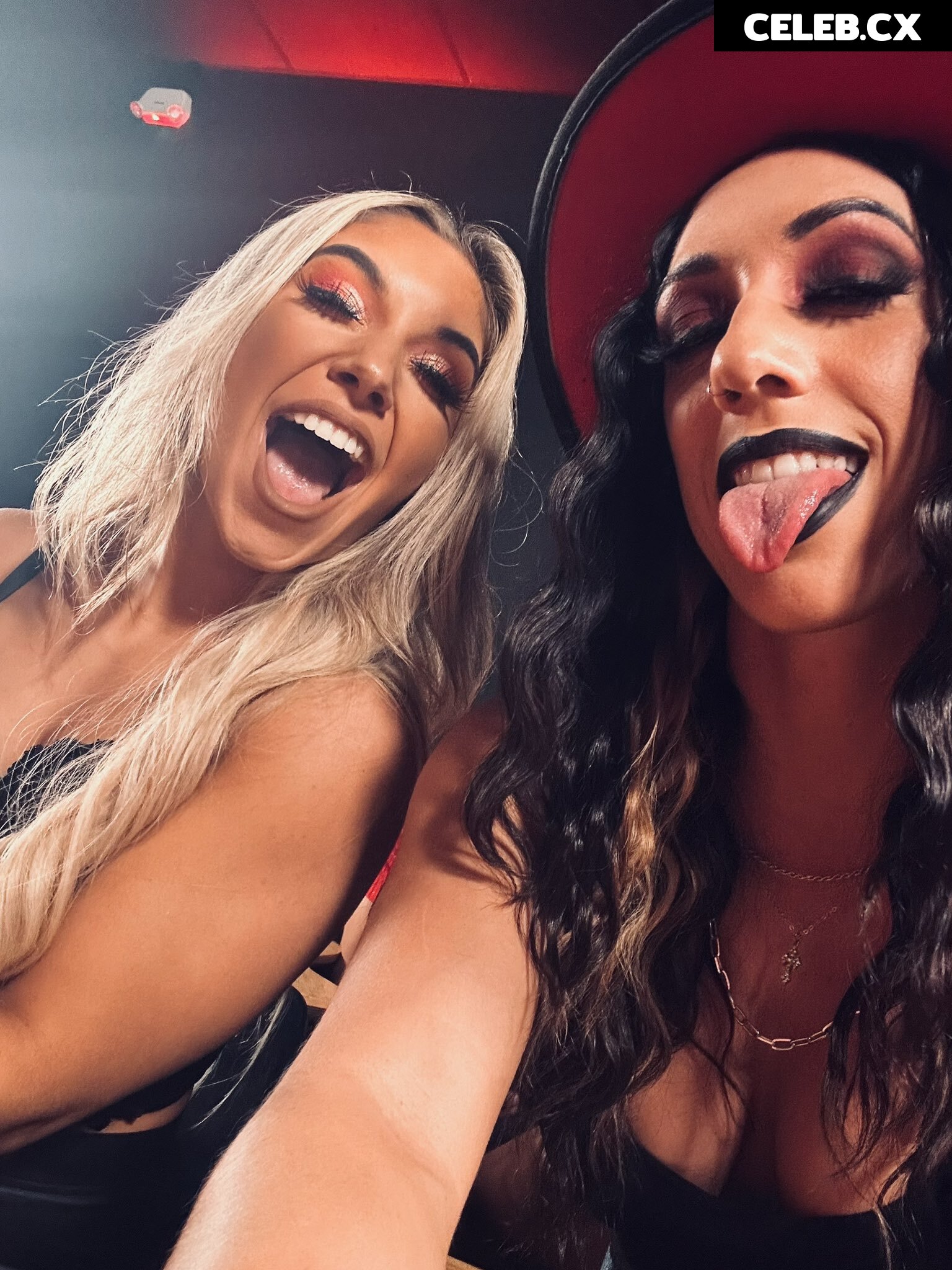 Women of Professional Wrestling Image 6270063