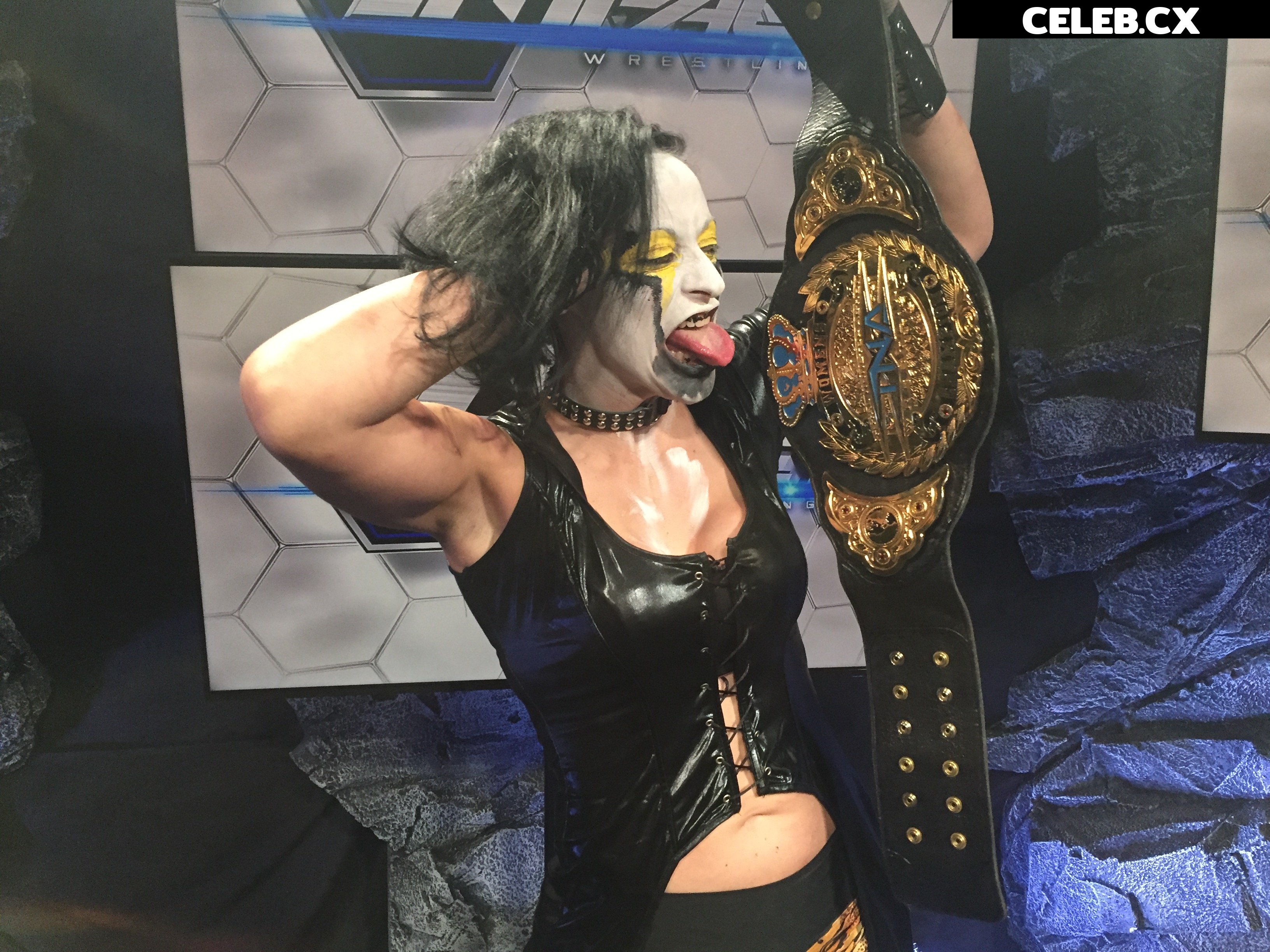Women of Professional Wrestling Image 6279305
