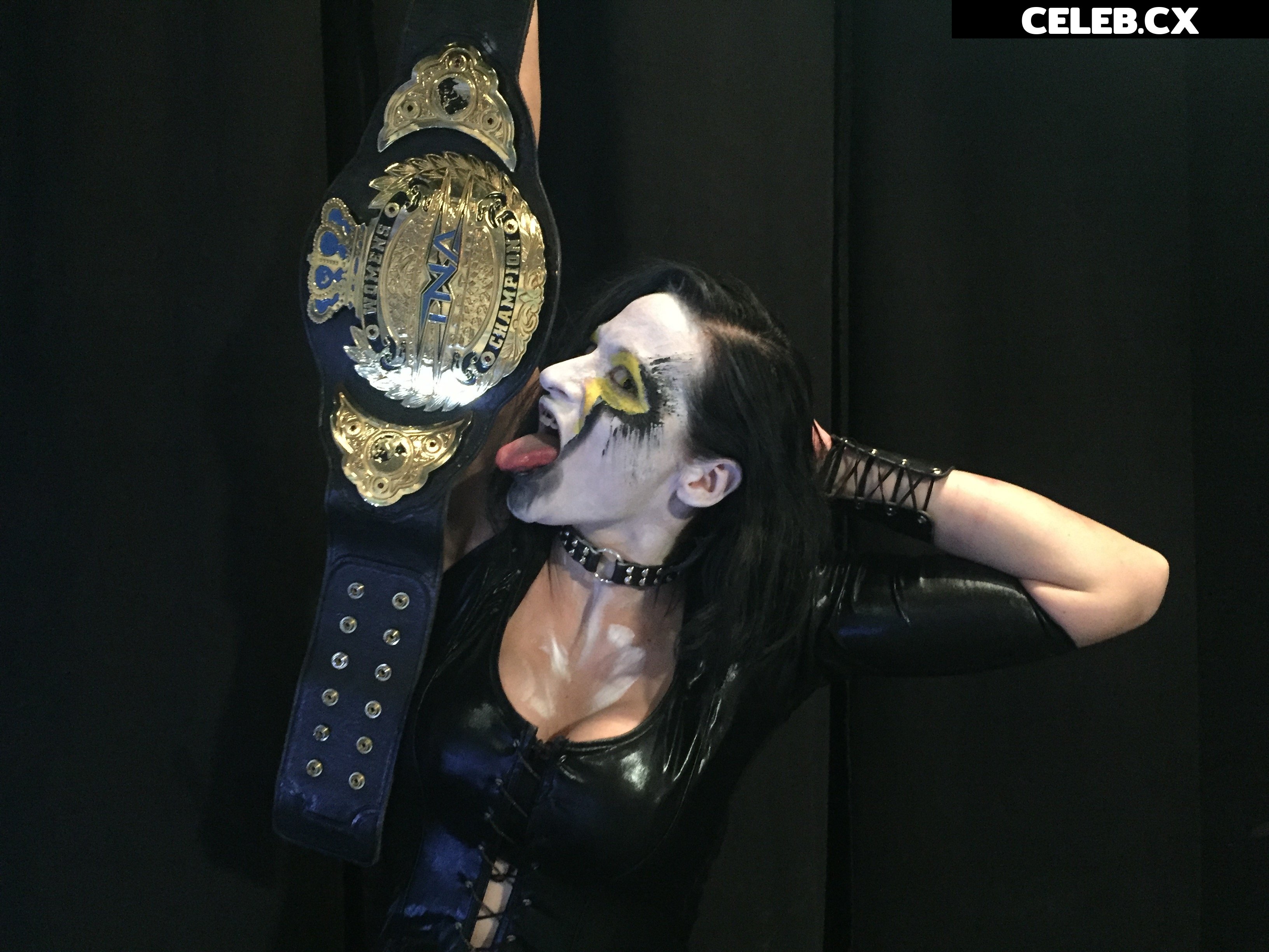 Women of Professional Wrestling Image 6279331