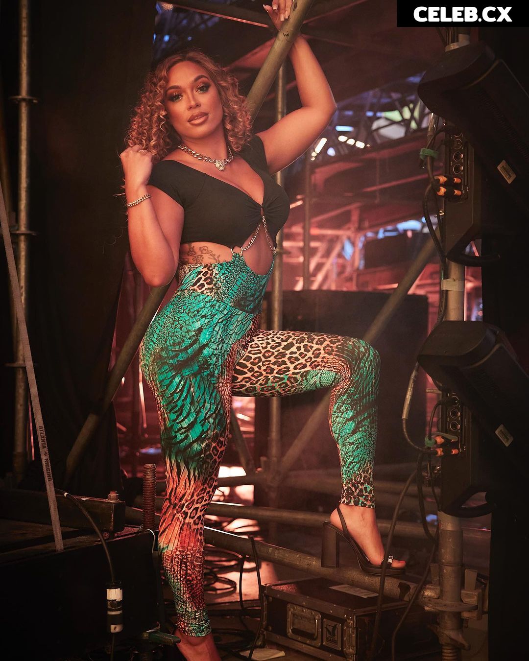 Women of Professional Wrestling Image 6266140
