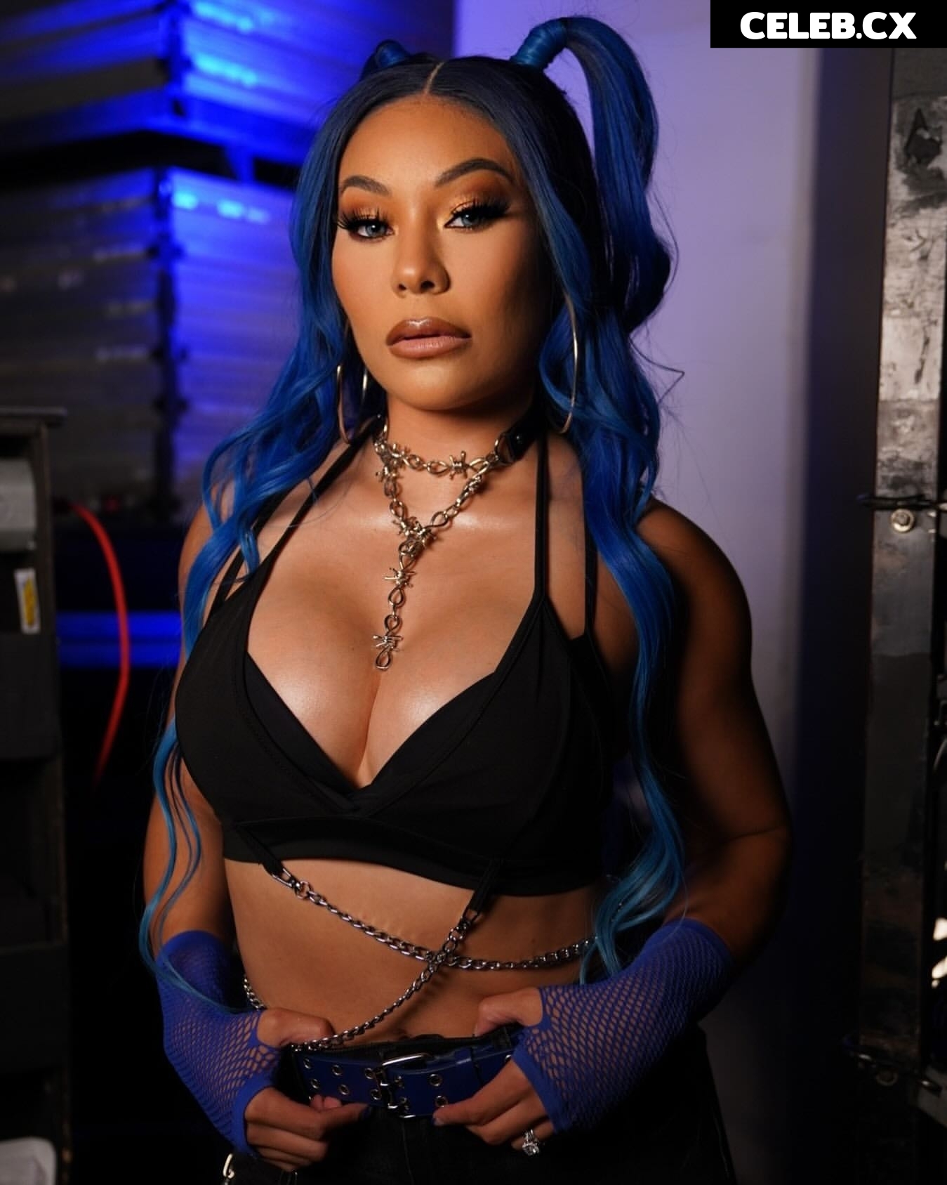 Women of Professional Wrestling Image 6266202