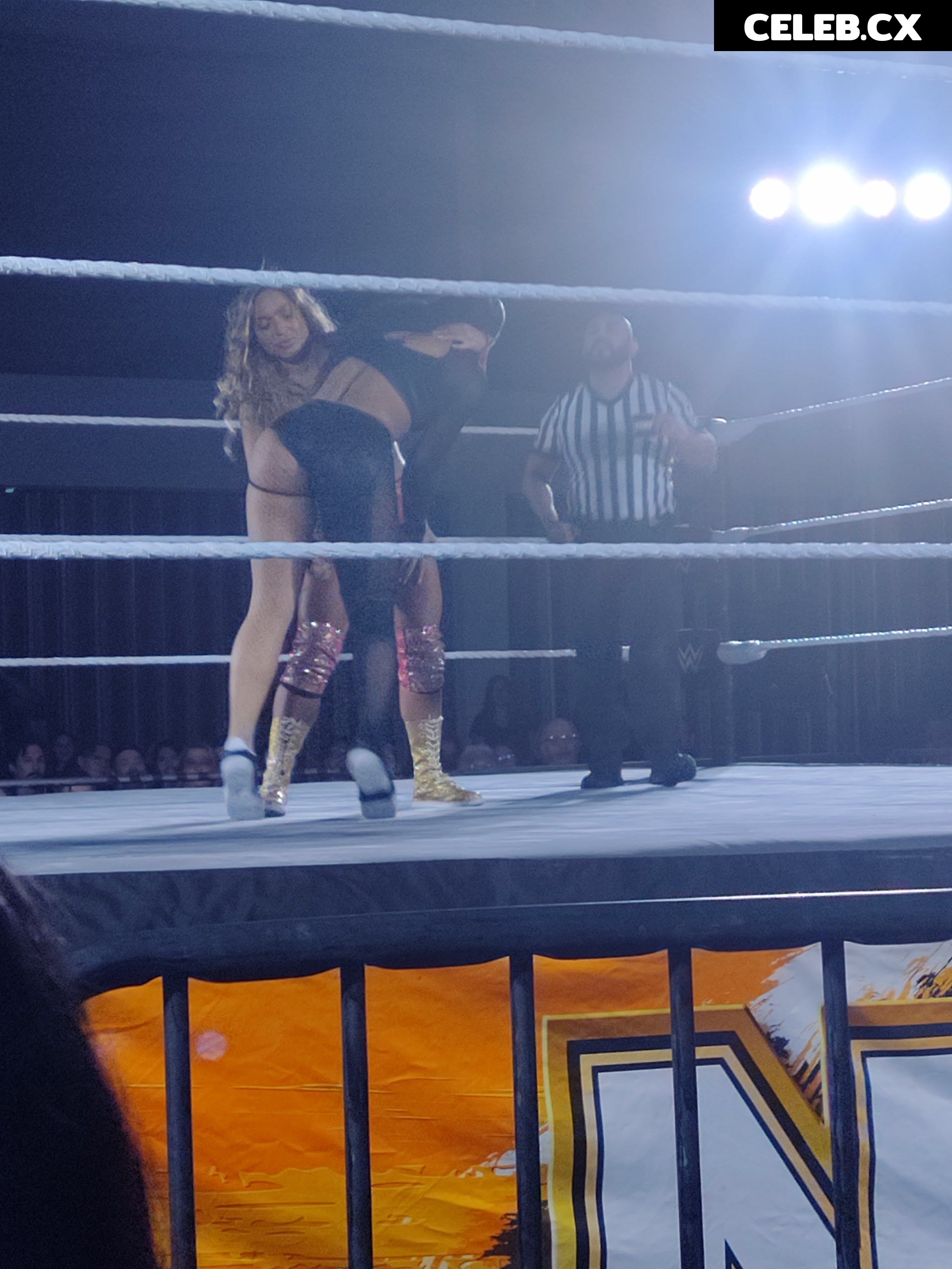 Women of Professional Wrestling Image 6266998