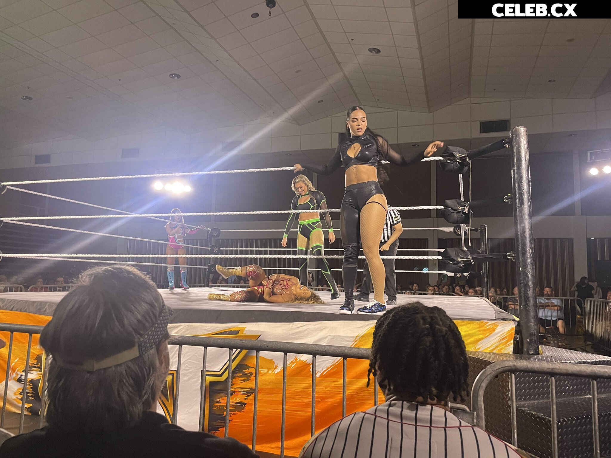 Women of Professional Wrestling Image 6266969
